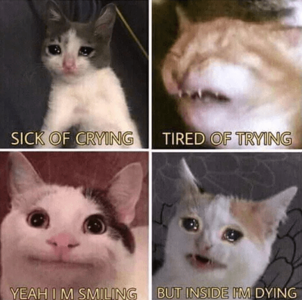 Cult of Cats Adohand’s Kitchen OffTopic D&D Beyond Forums D&D