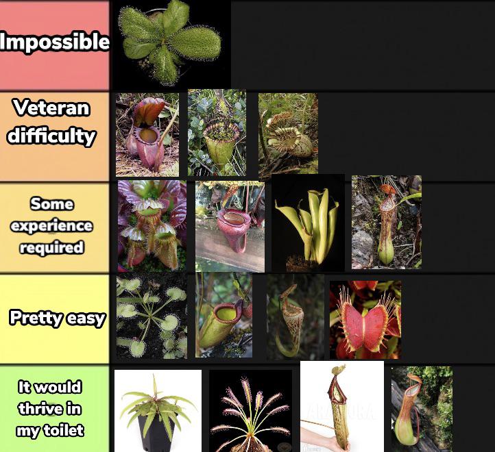 Carnivorous plant difficulty tier list (remade, based on my personal