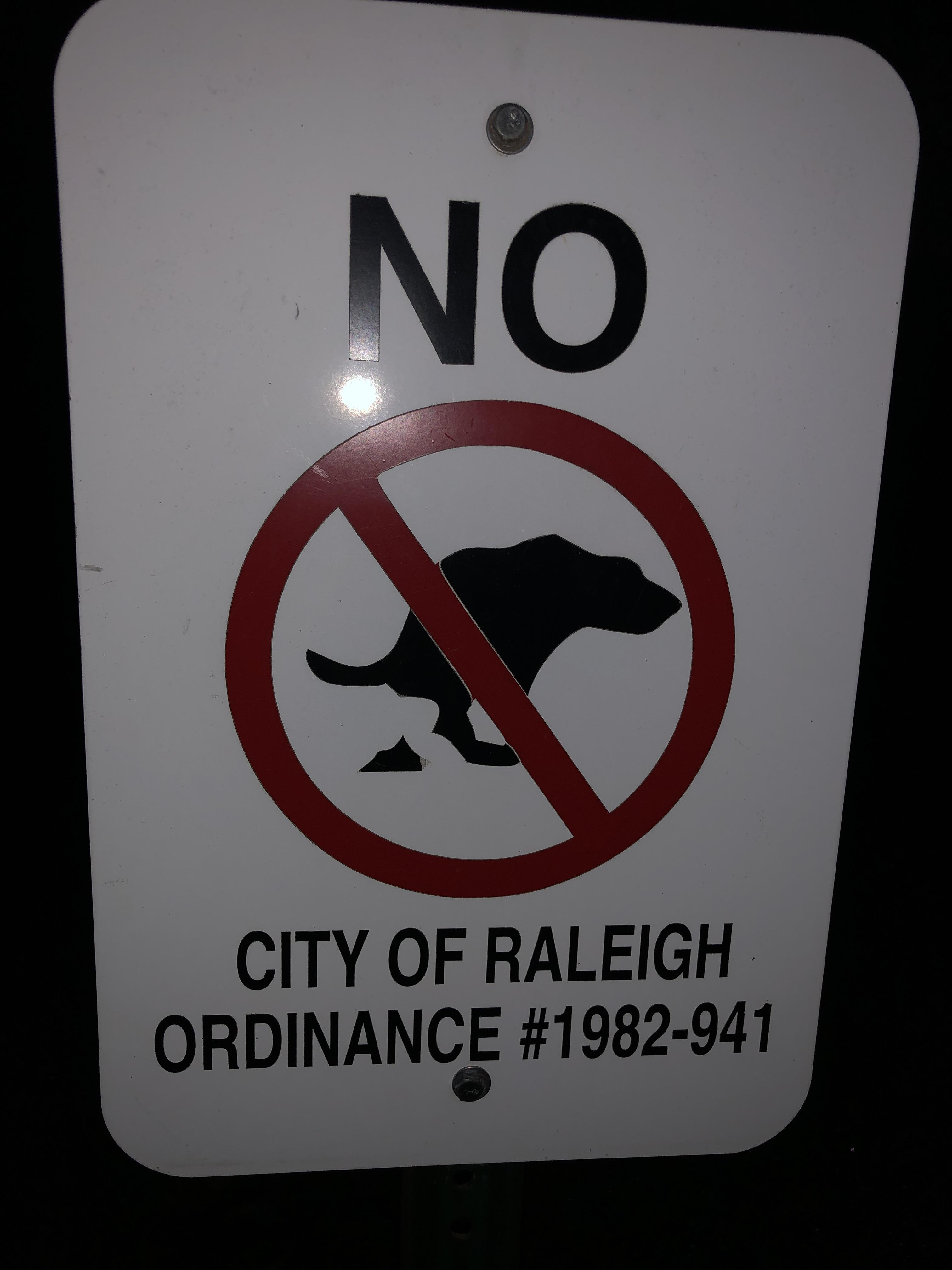 No, no crapping dogs. Okay???ALL dogs must crap here. DunderMifflin
