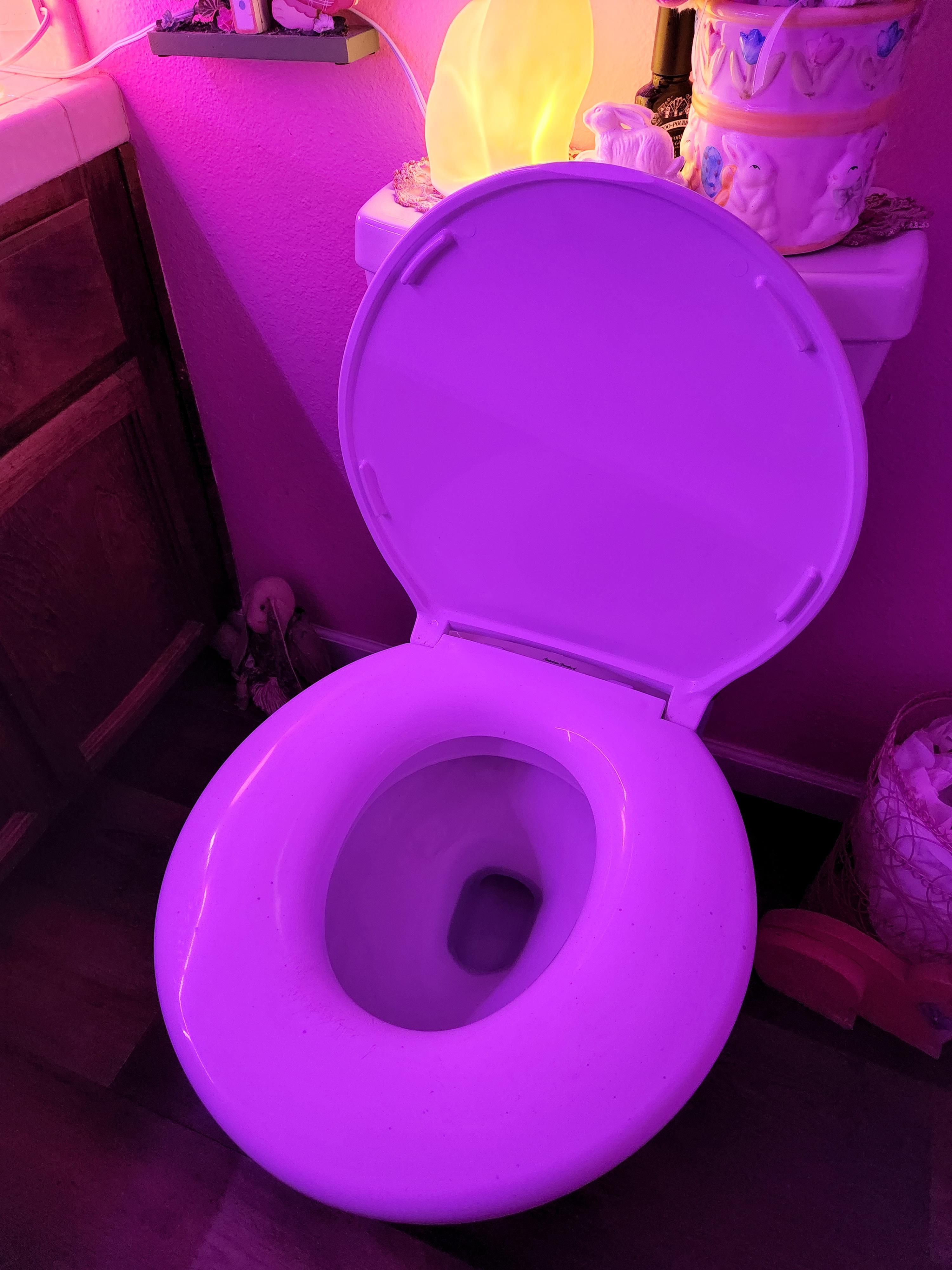 This enormous toilet seat. r/mildlyinteresting