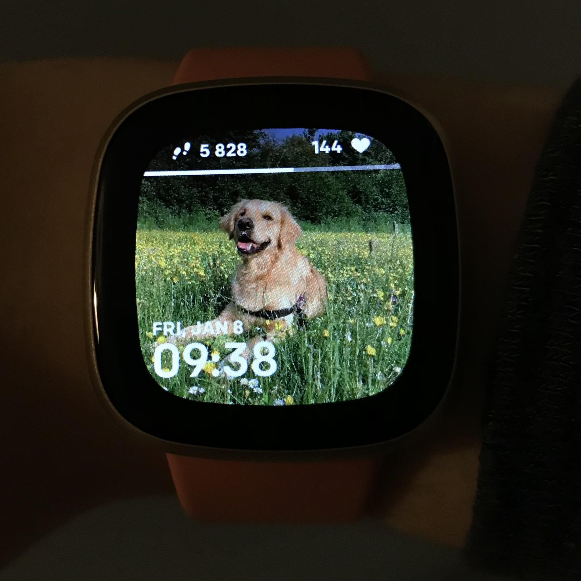 I replaced my Inspire HR with a Versa 3 today and I spent £1.15 to get my dog as the clock face