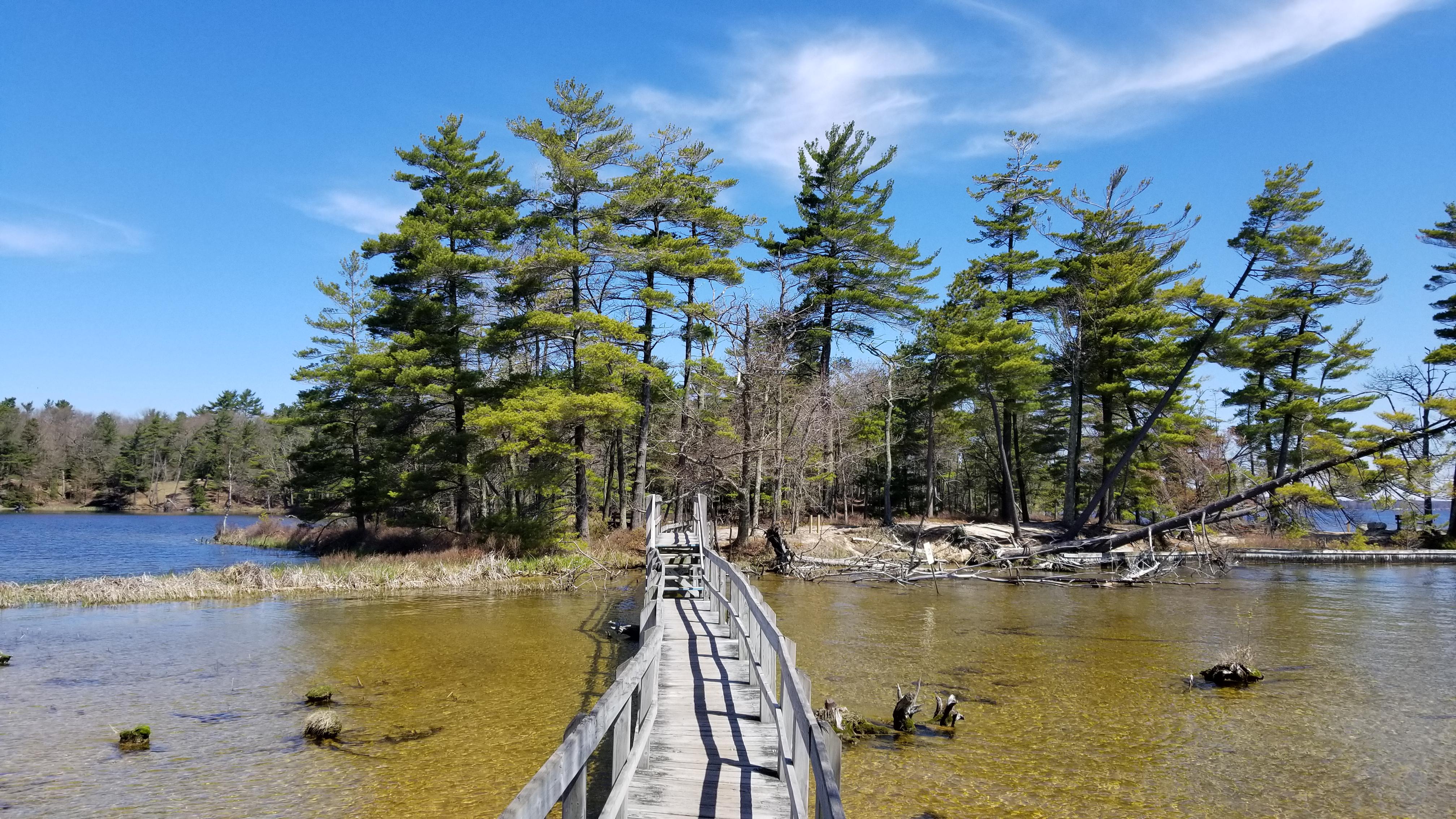 Perfect day for hiking the Lost Lake Trail in Ludington r/Michigan