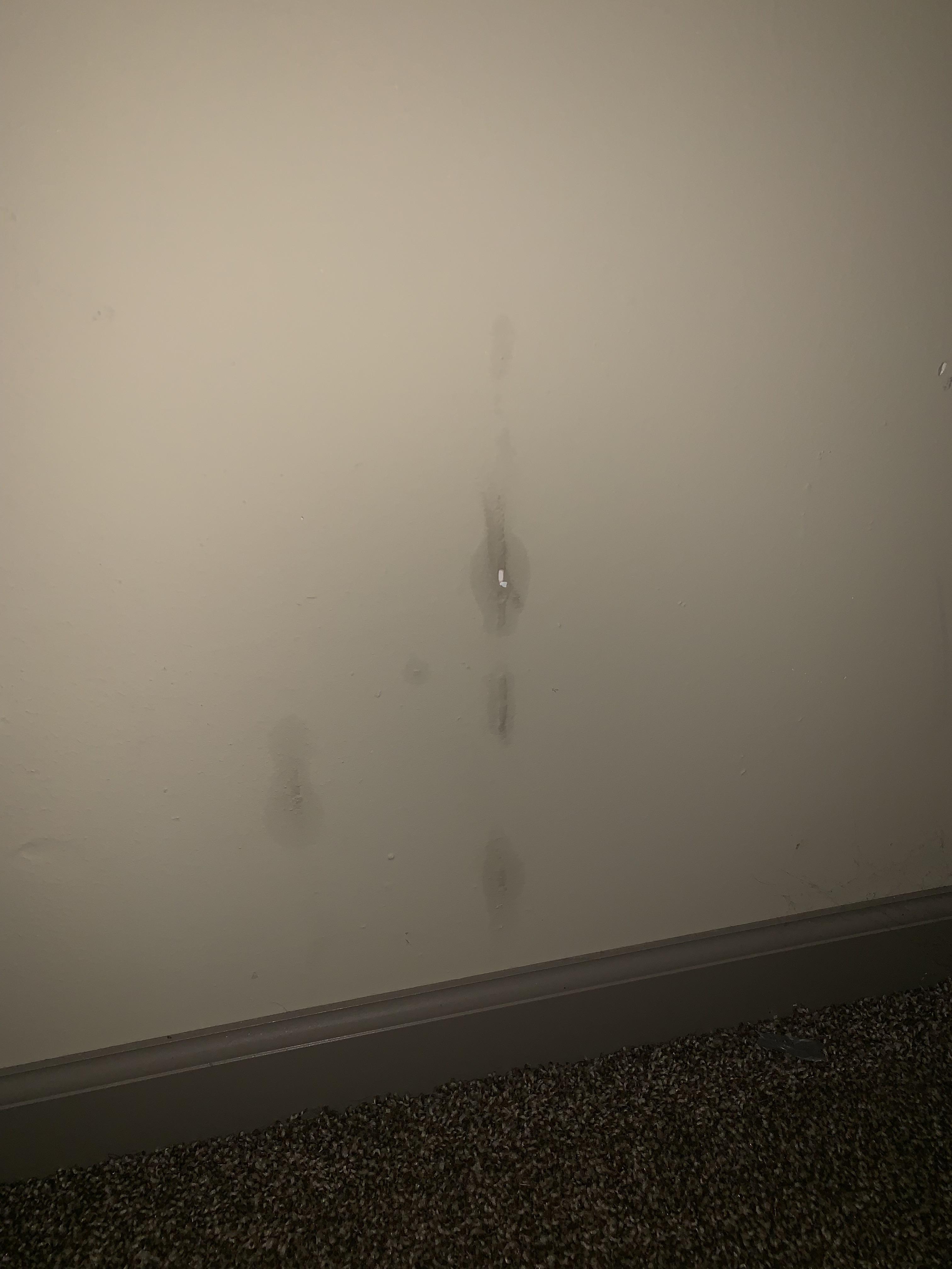 Random damp spots on drywall r/Carpentry