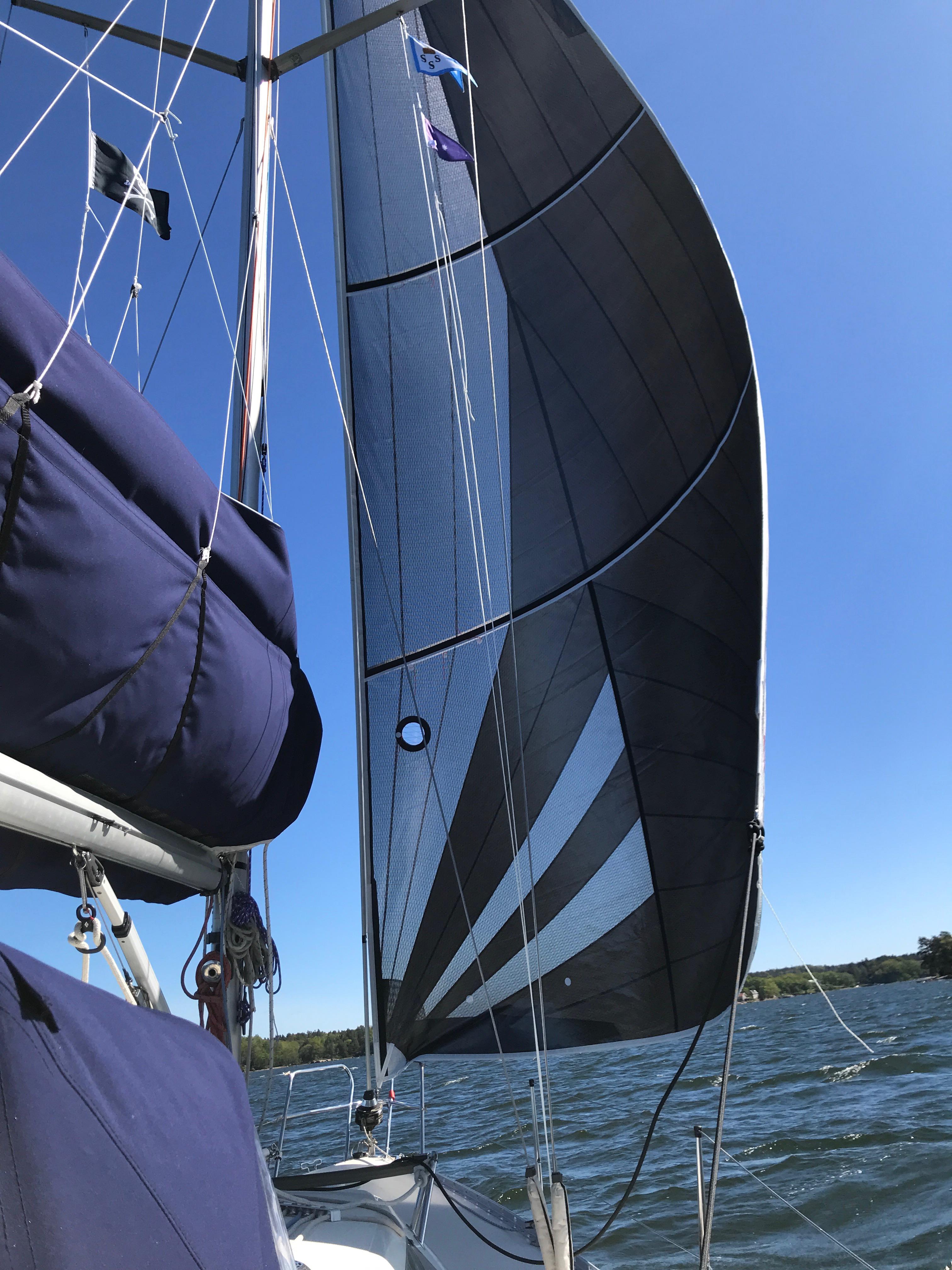 New genoa for the season, first hoist. r/sailing