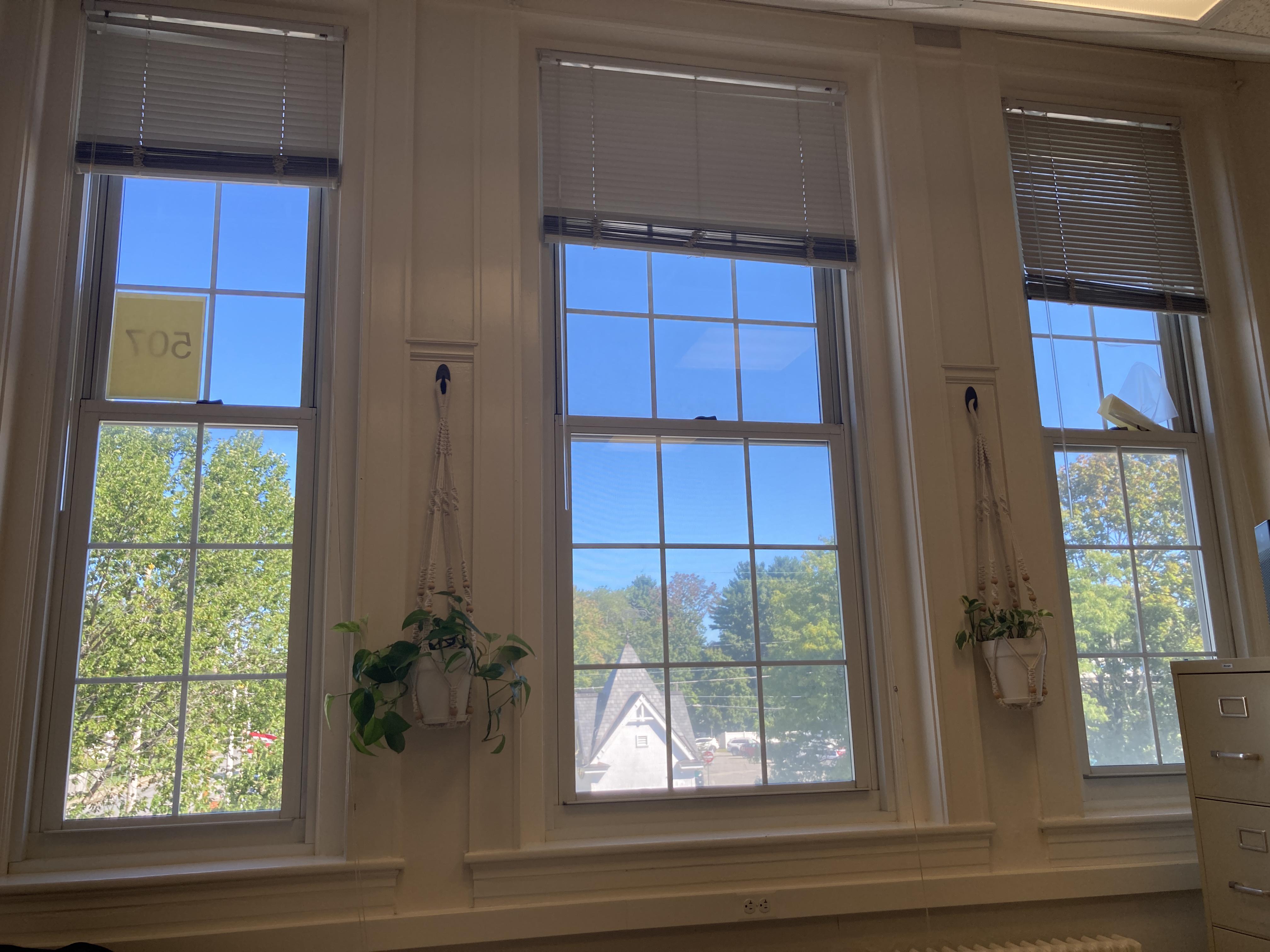 I have these big north/northwest facing windows in my office. I get a