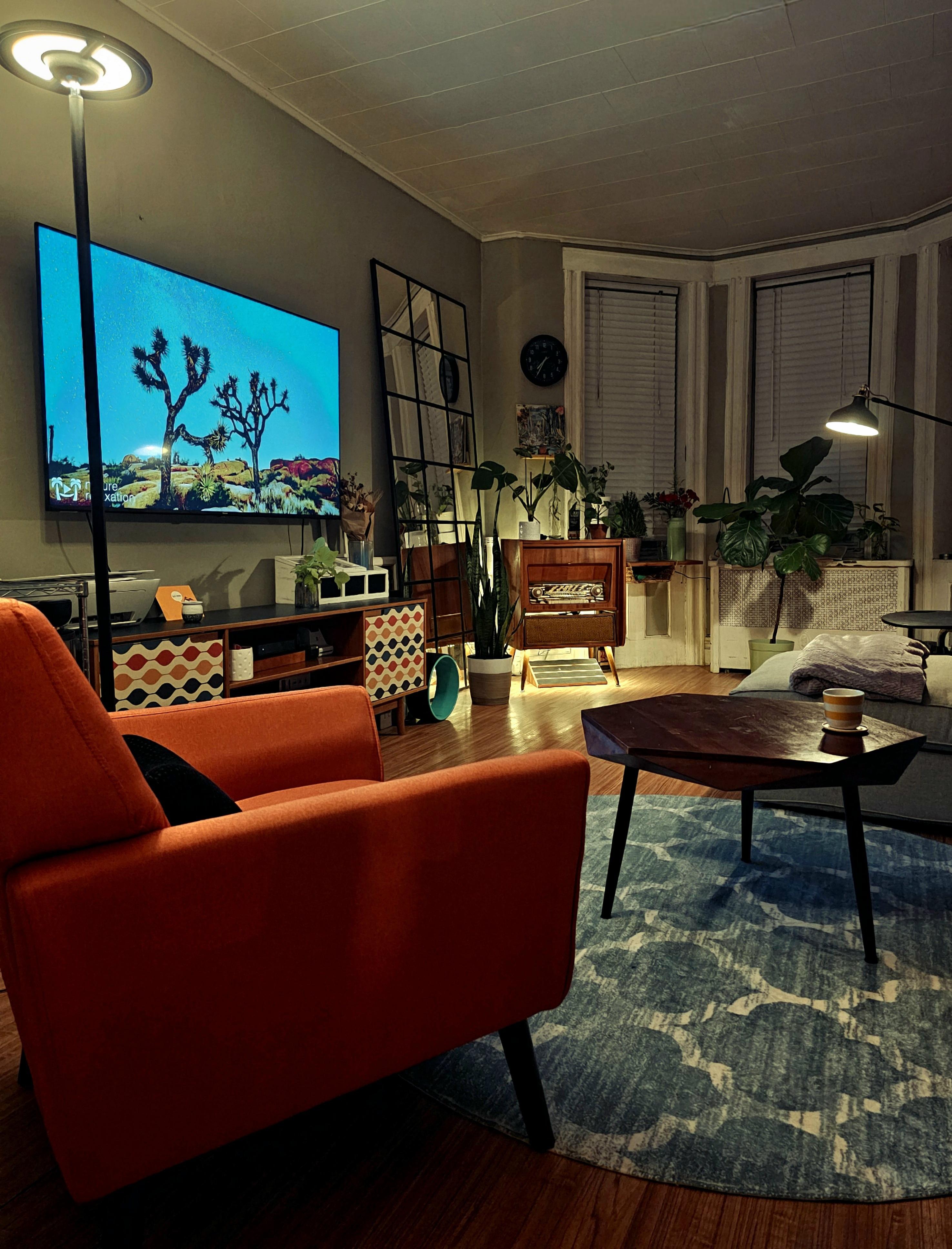 Living room. Brooklyn, NY r/AmateurRoomPorn