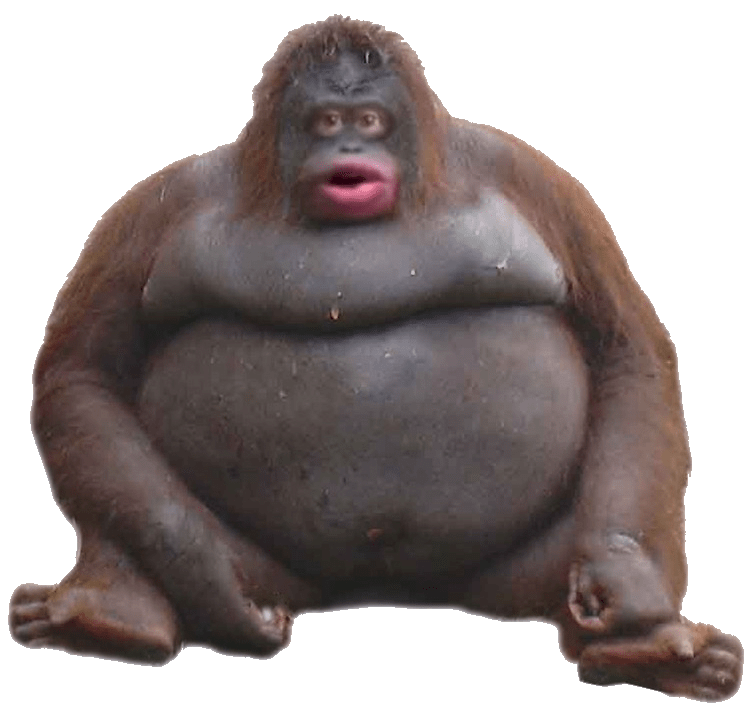 hehe poopy monke r/Monkylore