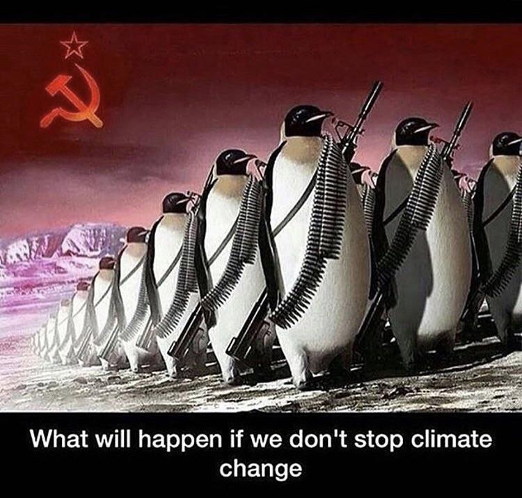 Global Warming is a hoax. dankmemes
