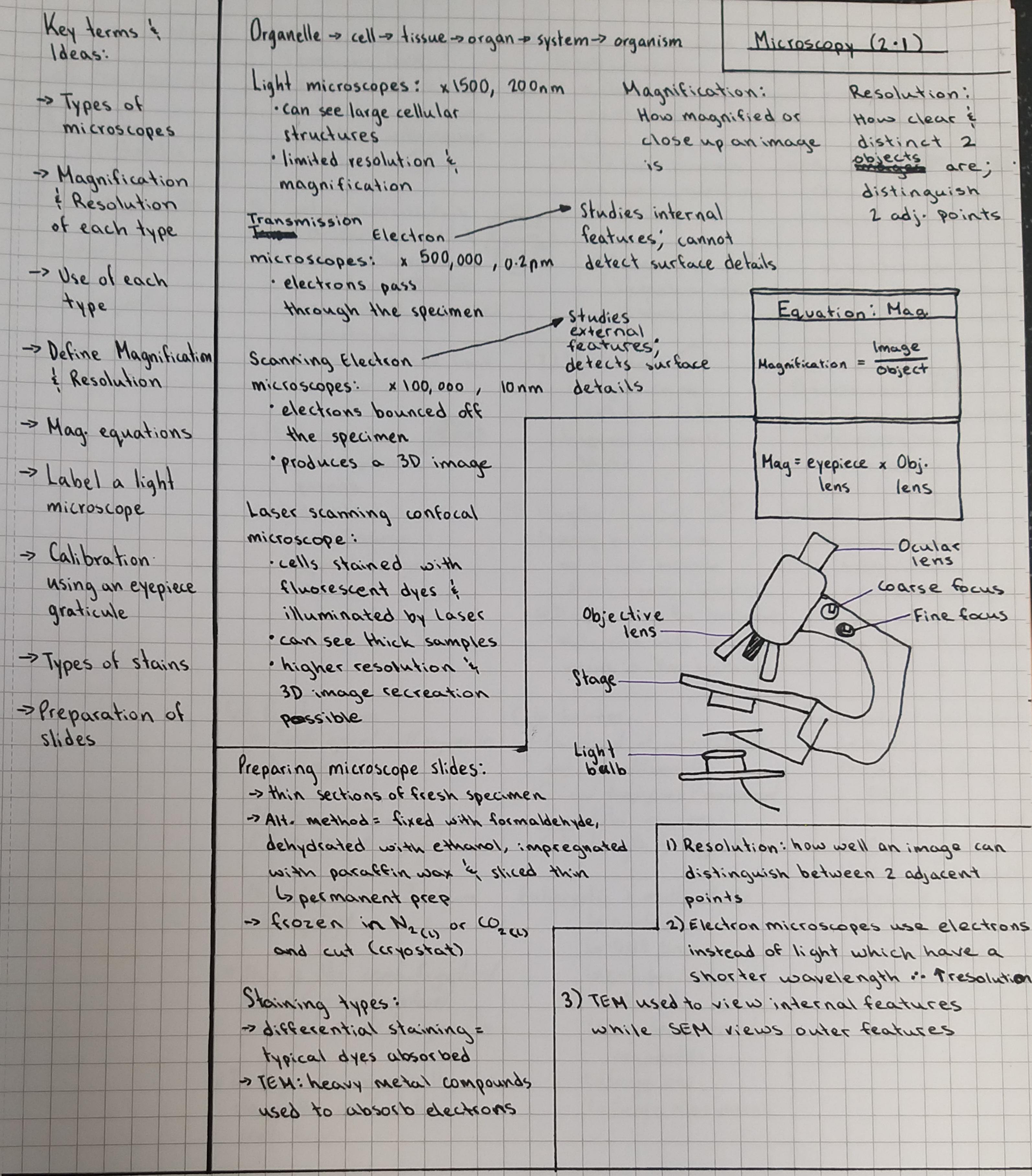 Microscopy OCR A r/ALevelBiology