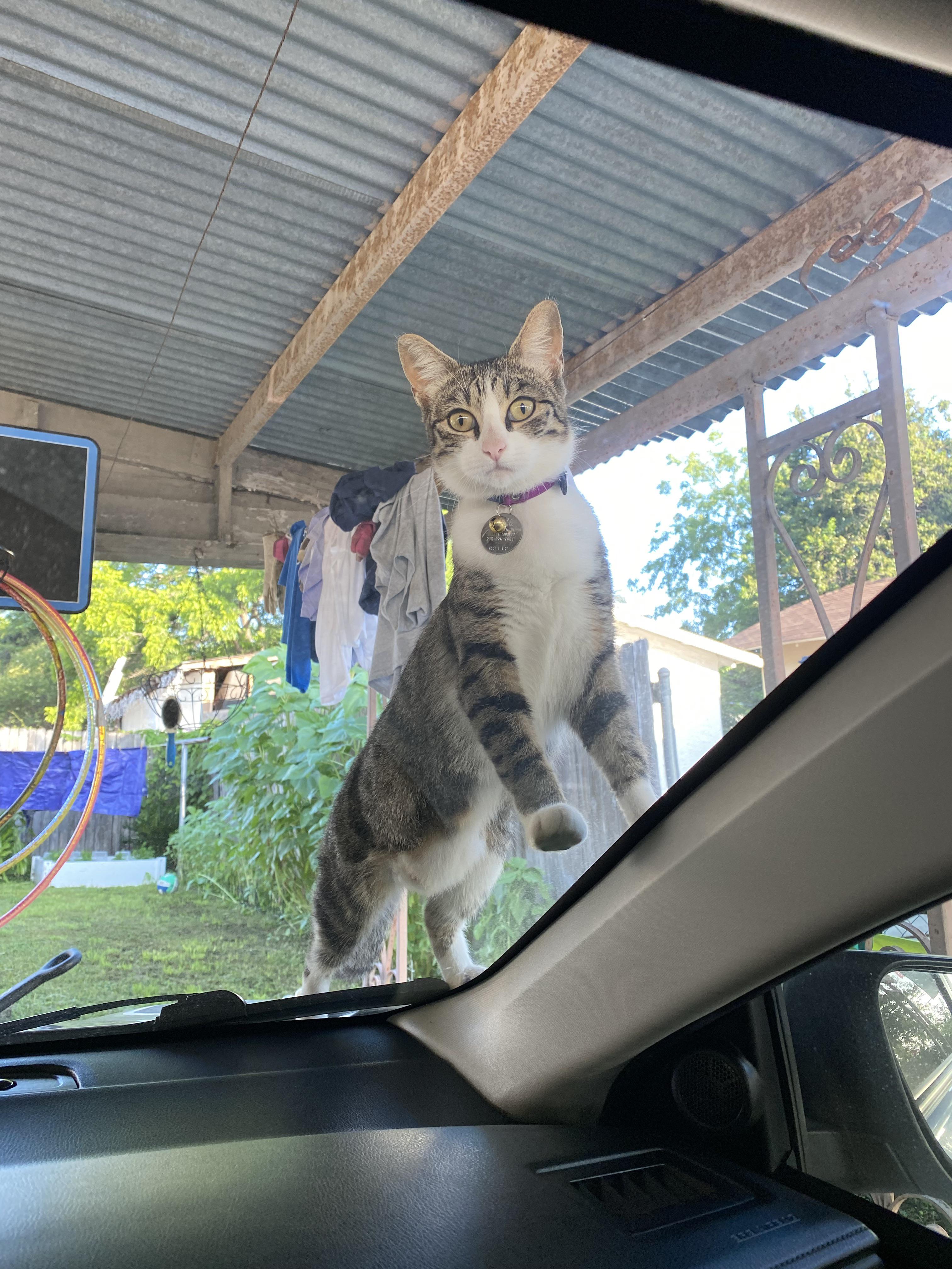 My, how the turntables... r/TheHumanTrapIsWorking