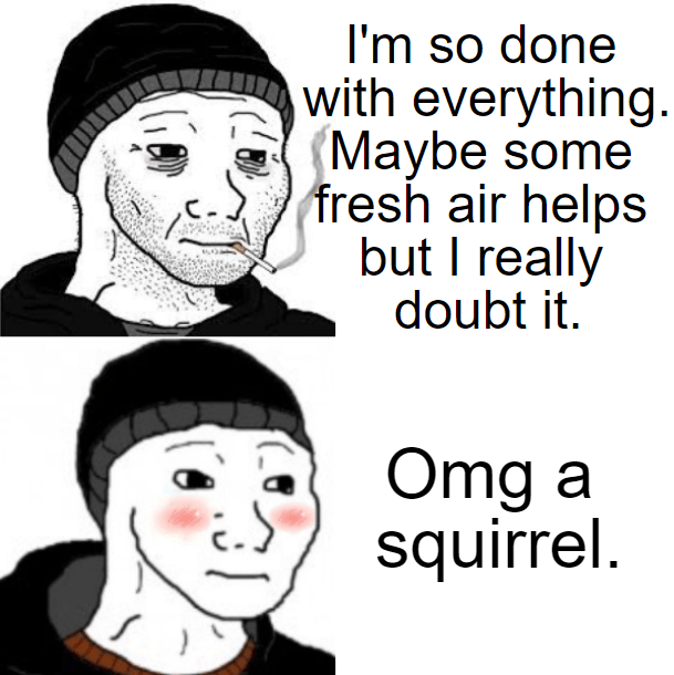 Look at it go r/memes