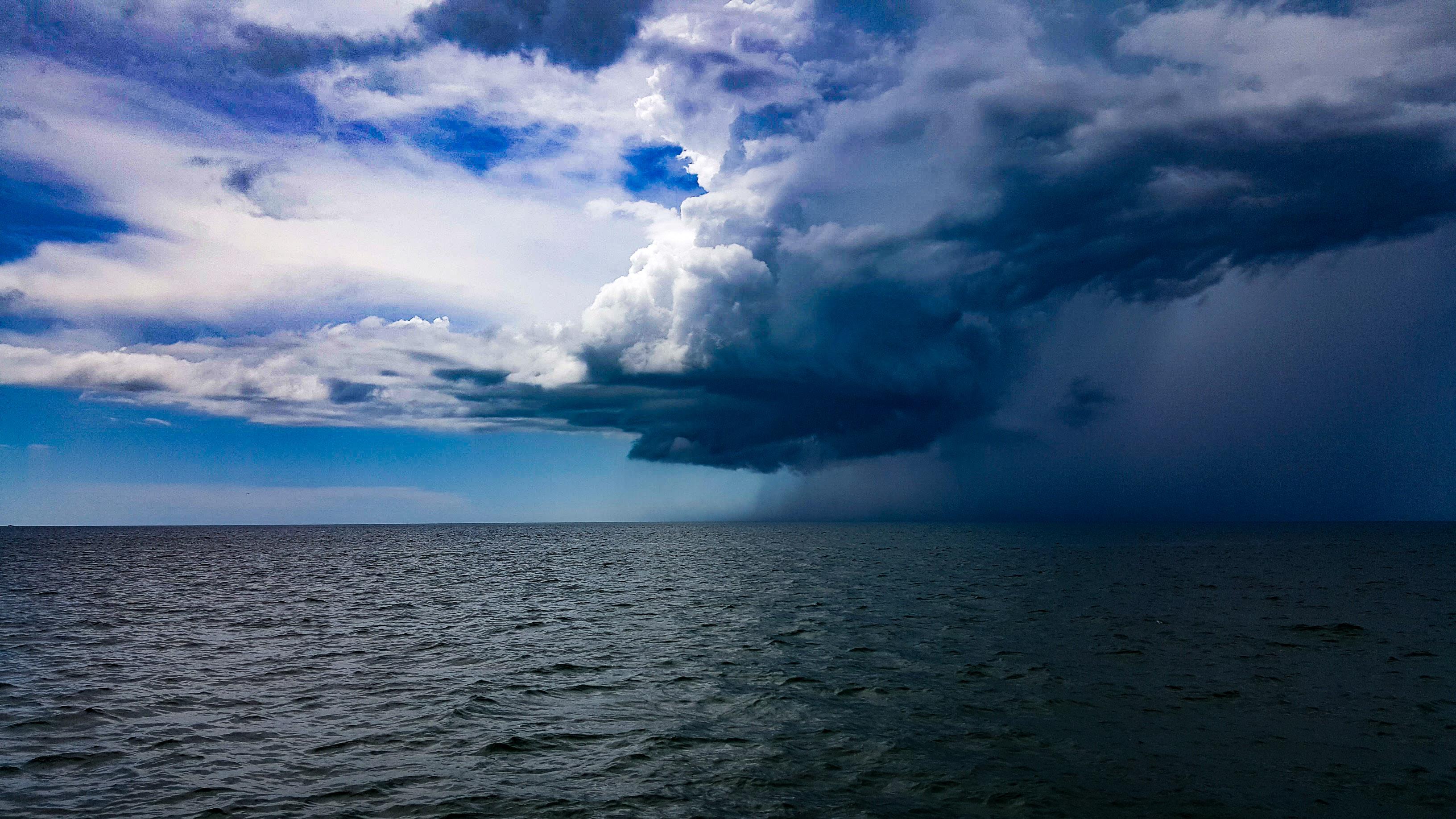 Today's afternoon shower in Clearwater r/florida