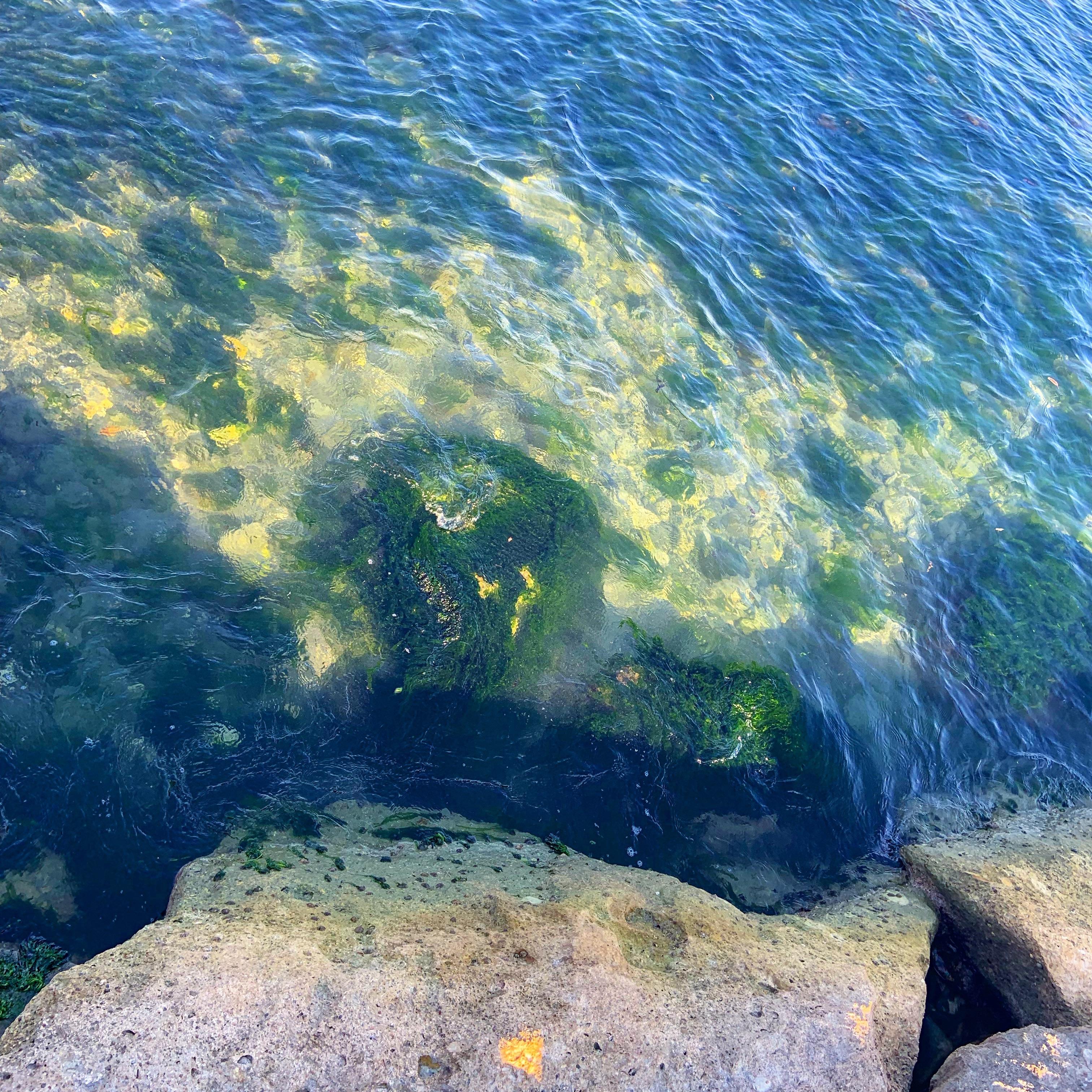 The Water in Cyprus r/seaporn