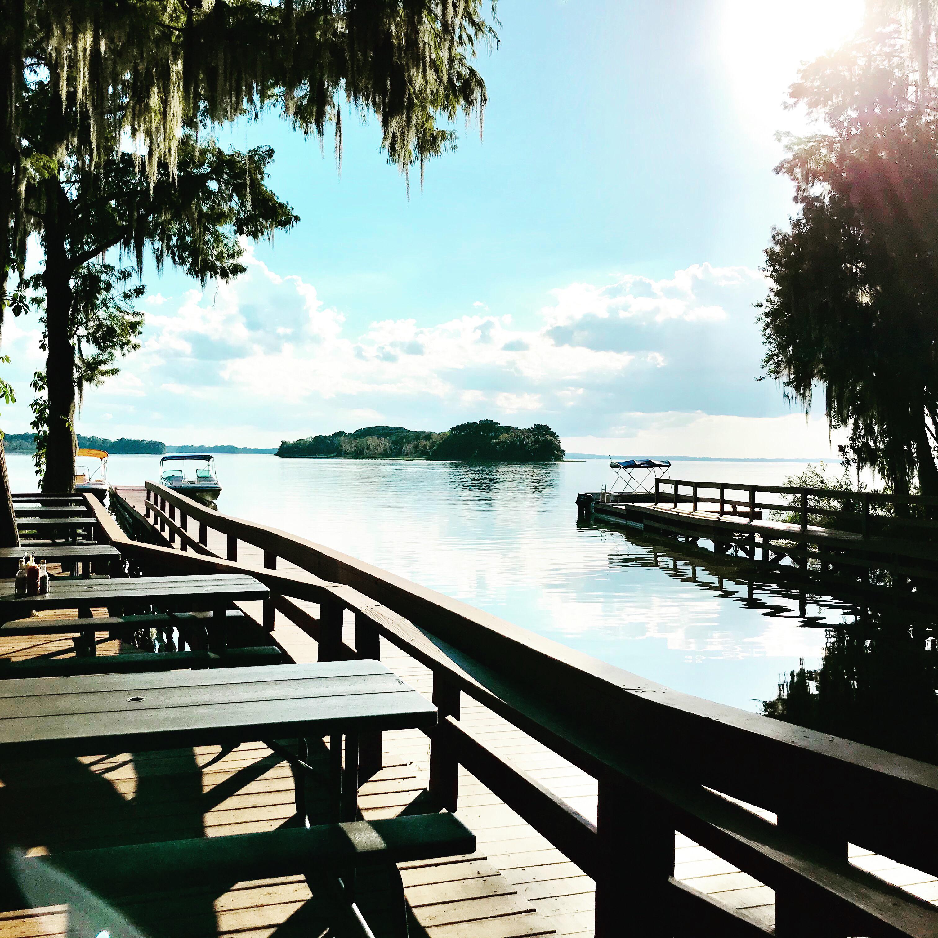 Beautiful sight in Tavares, Lake county r/florida