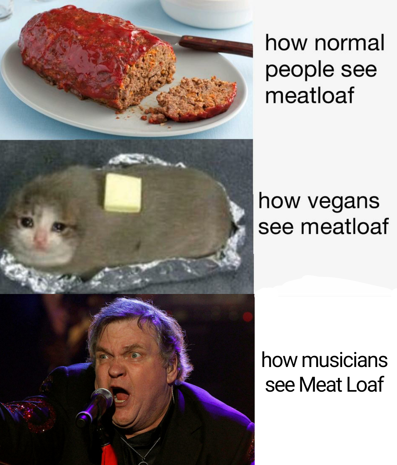 meatloaf is tasty r/musicmemes