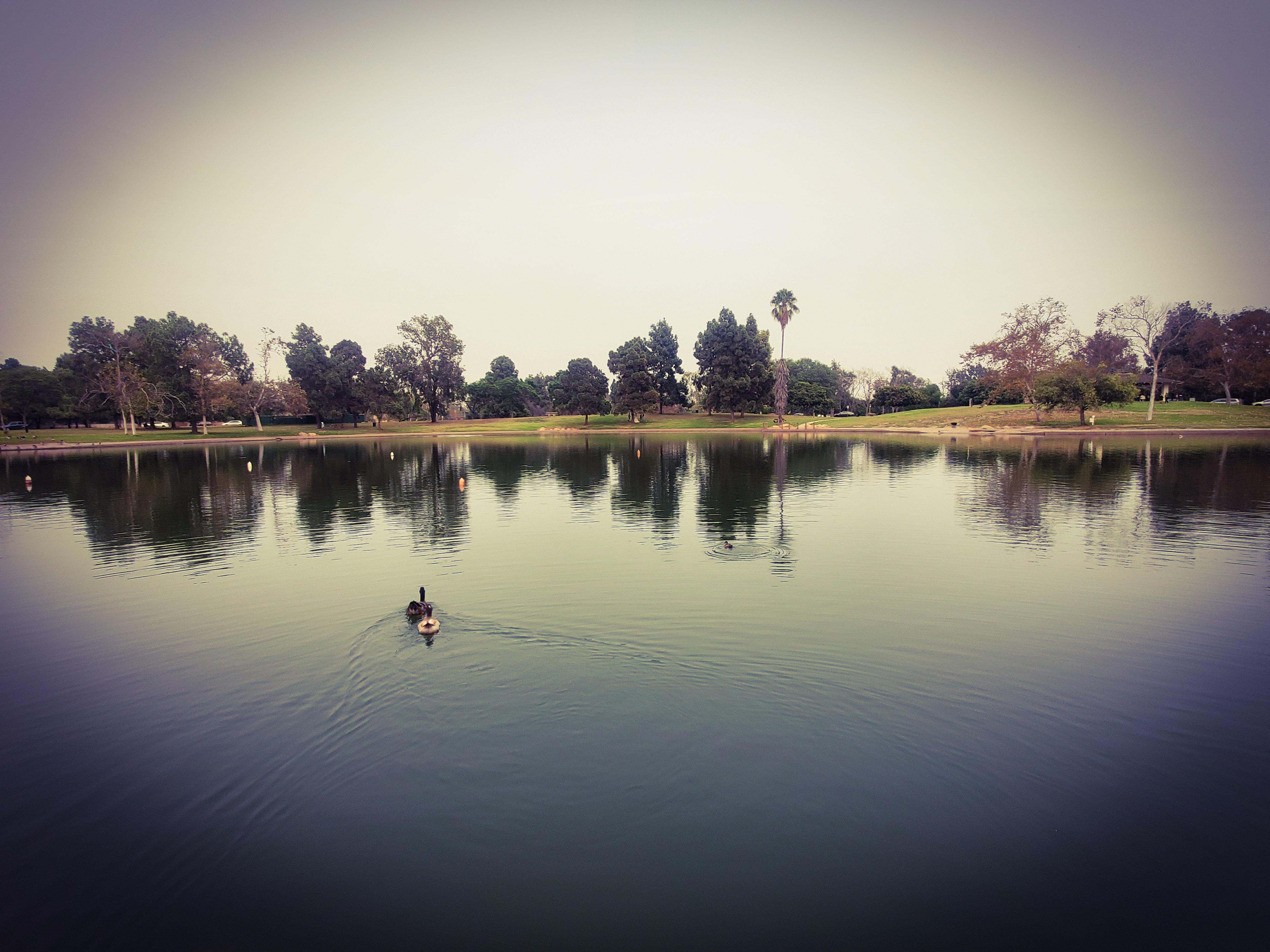 Finally made it to El Dorado Park.. highly r/longbeach