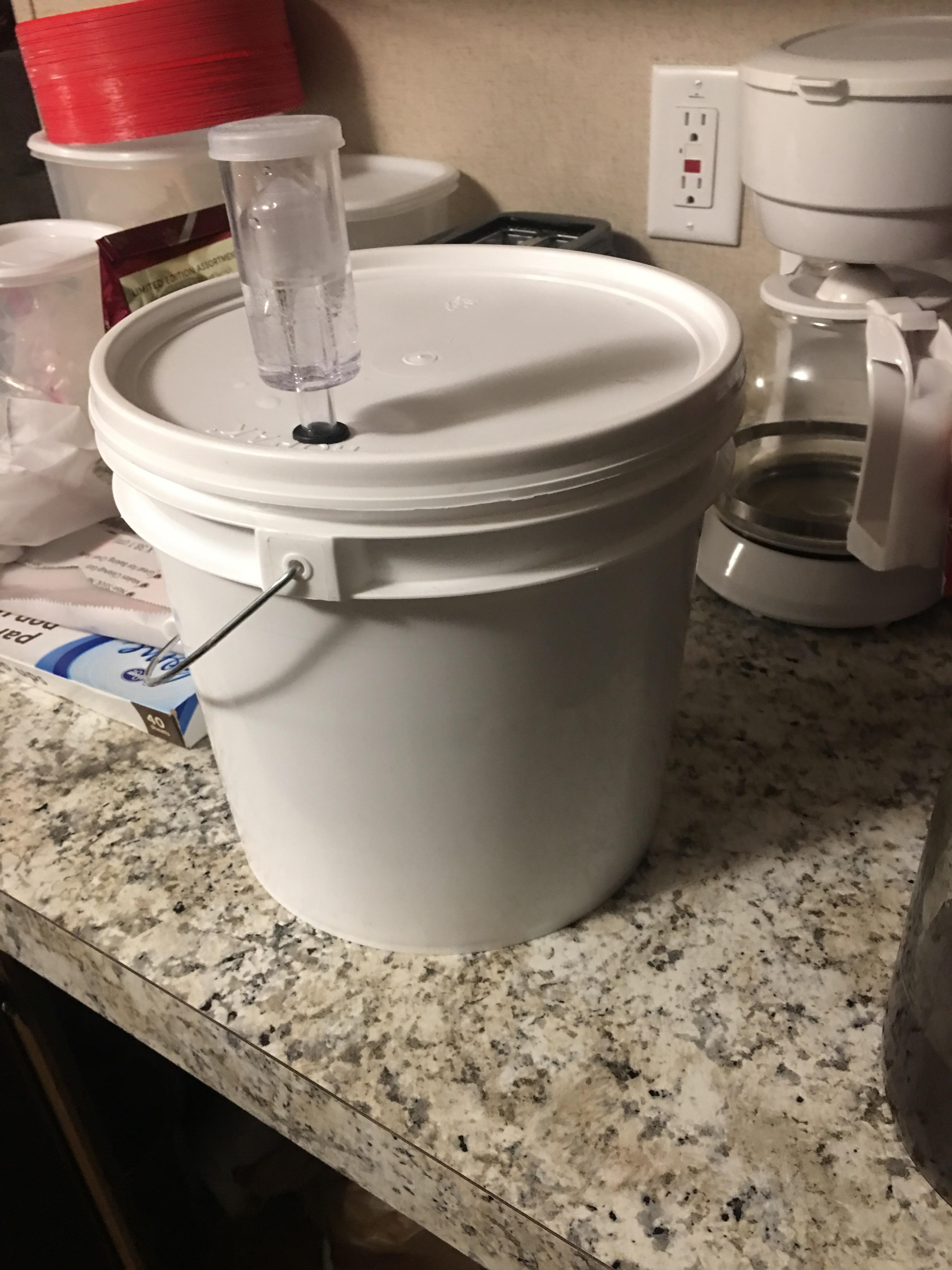 This is my first mead that I started on Friday. My airlock went from