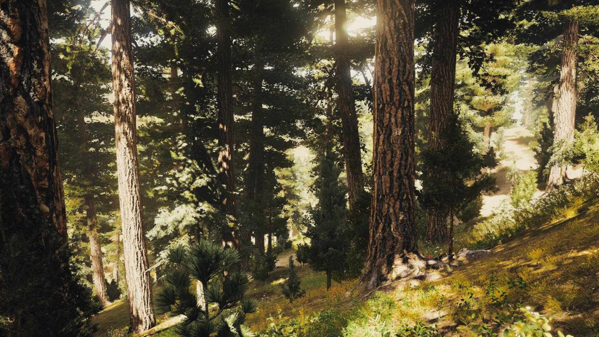 Hiking in the forests of Montana, absolutely beautiful. 1024 x 768 [OC