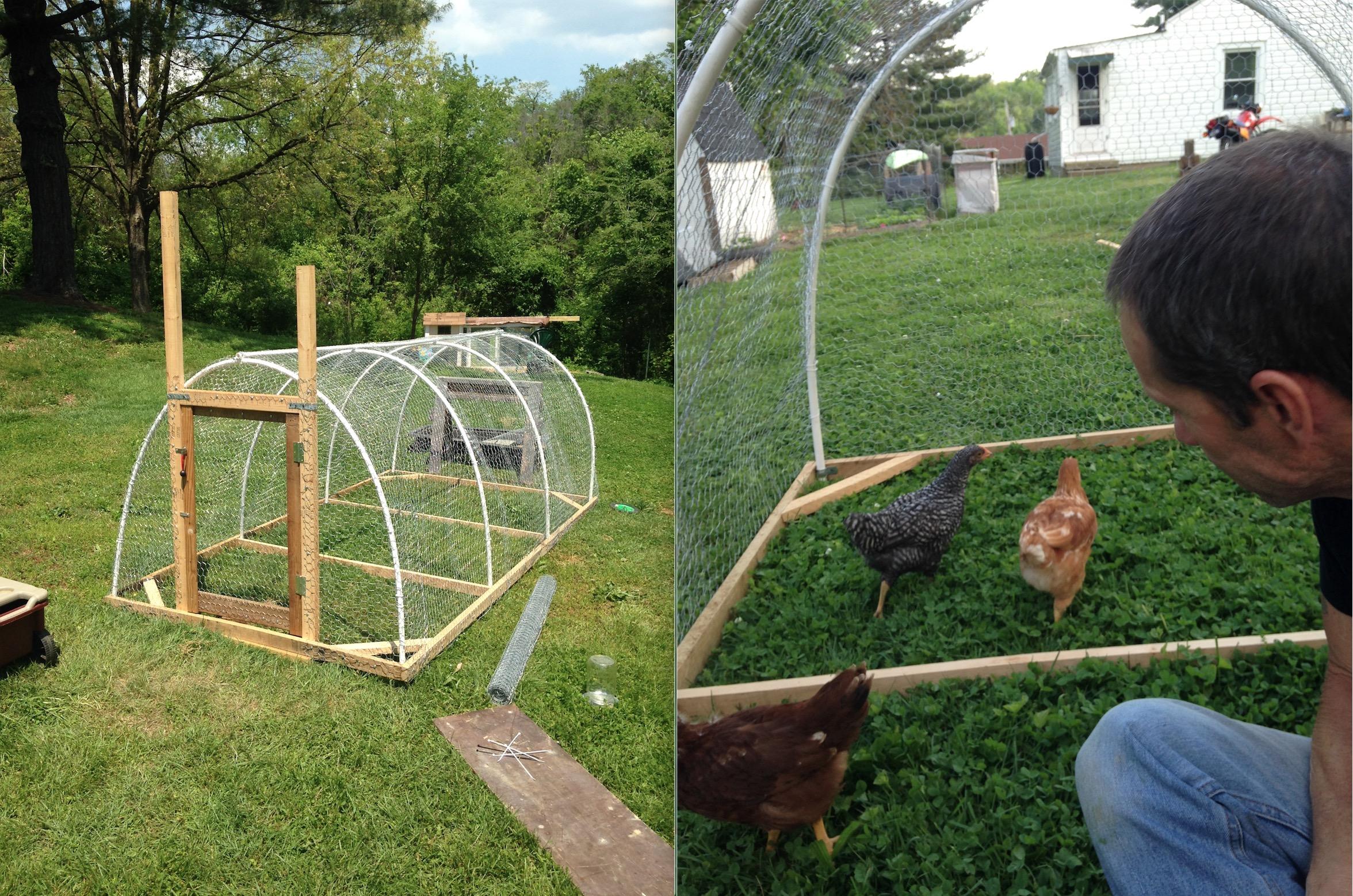Chickshaw made from PVC pipe, chicken wire, and 1x2s. (This is before