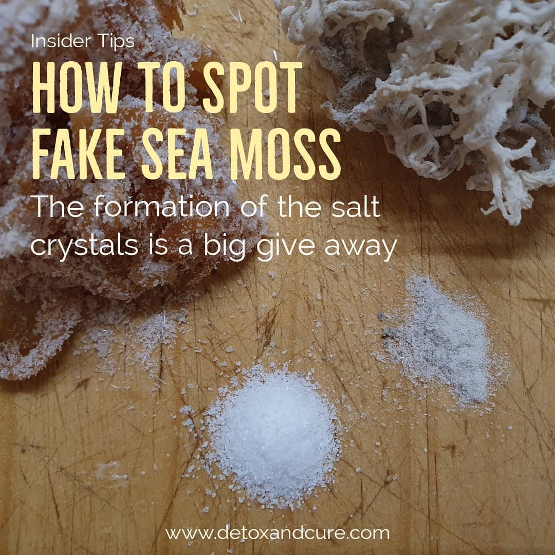 Fake Sea Moss tips on what to look for r/seamoss