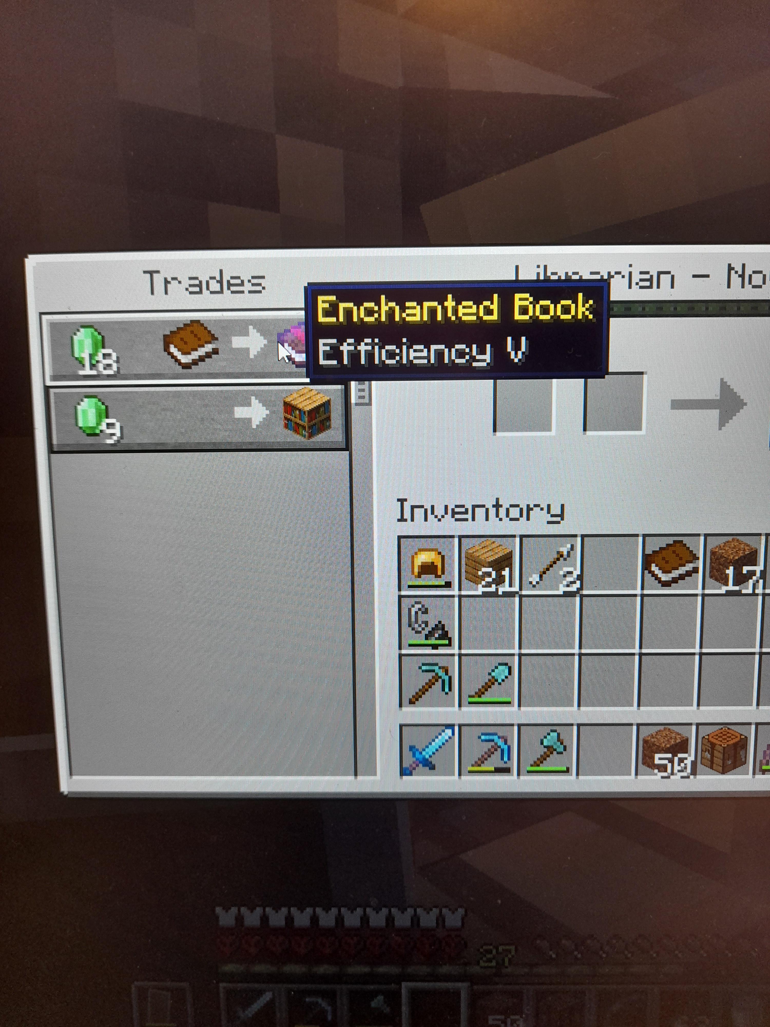 Best minecraft villager deal I have ever seen! (For not cured villagers