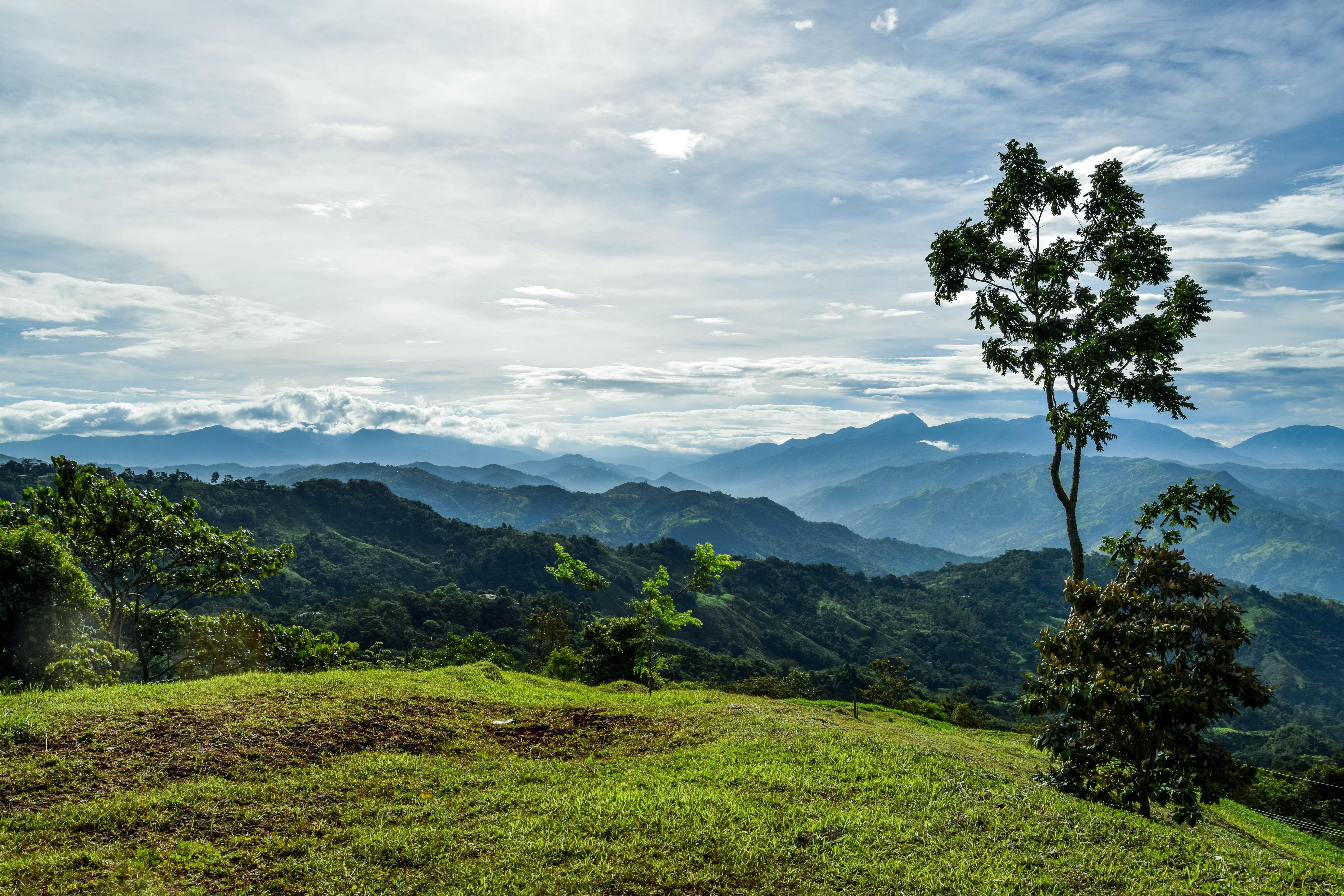 My dad sells land in Costa Rica, and this is the crazy view from one of