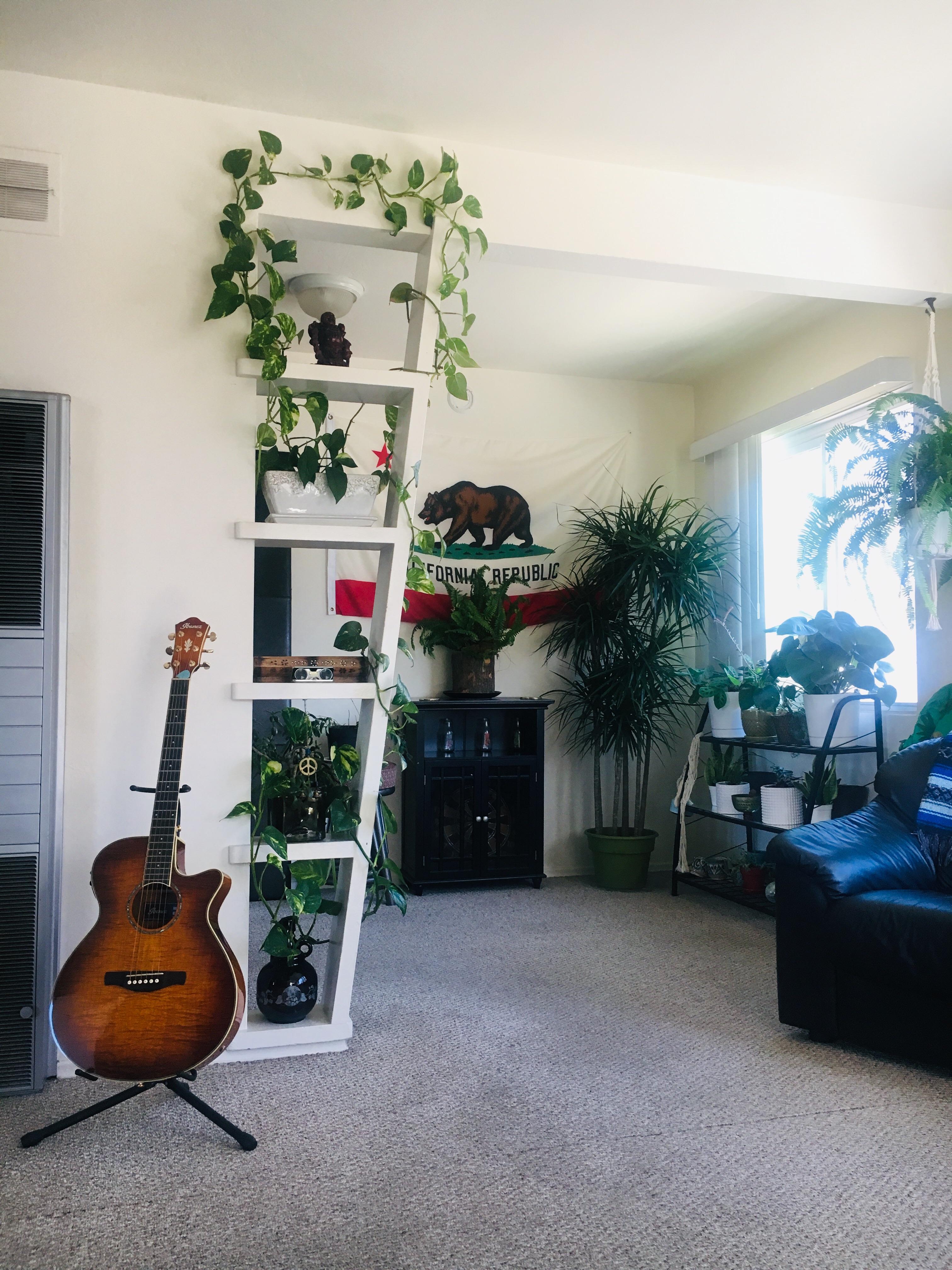 Sunny San Diego apartment. r/AmateurRoomPorn