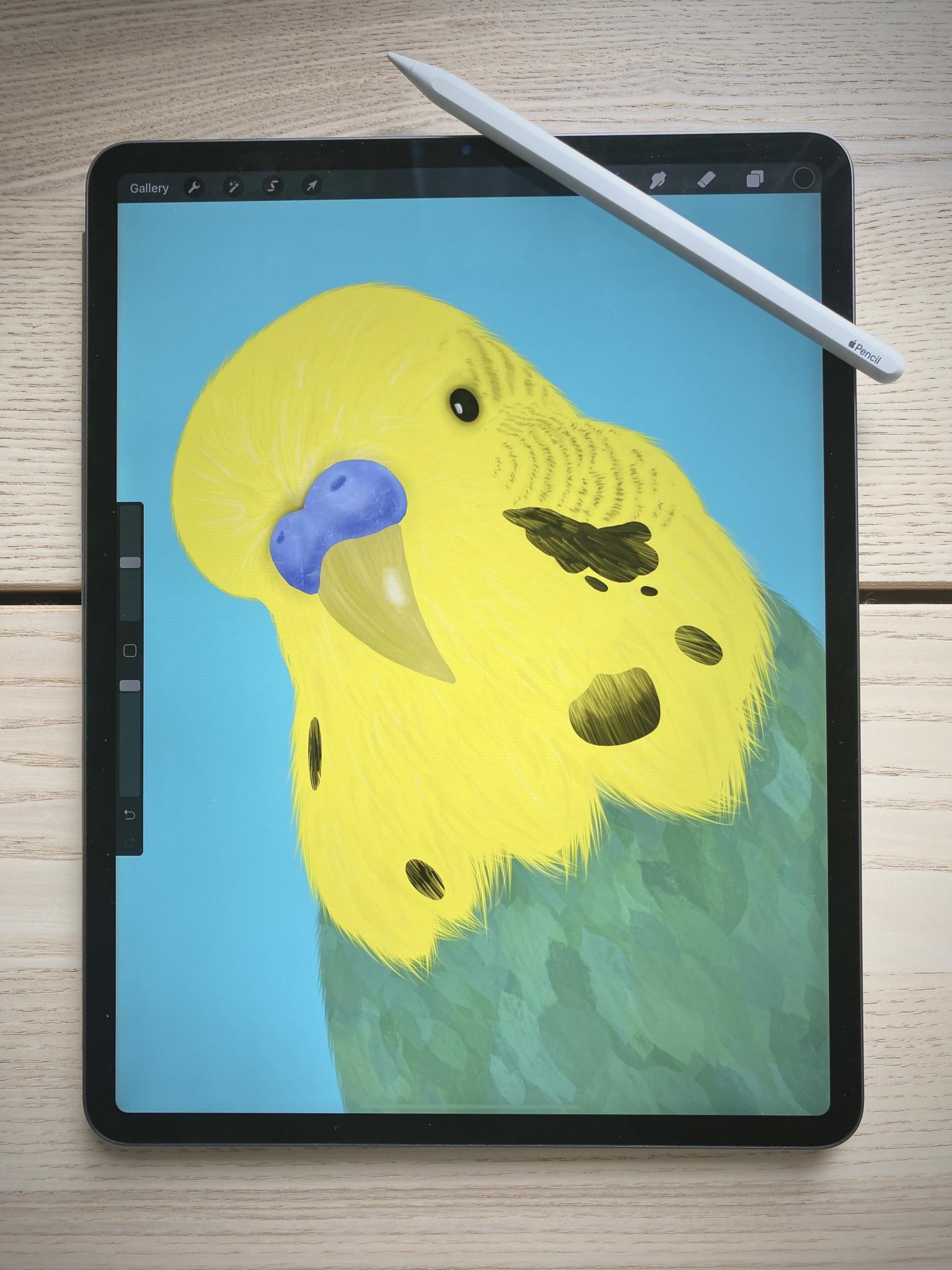 My first attempt at art on the iPad Pro. r/iPadPro