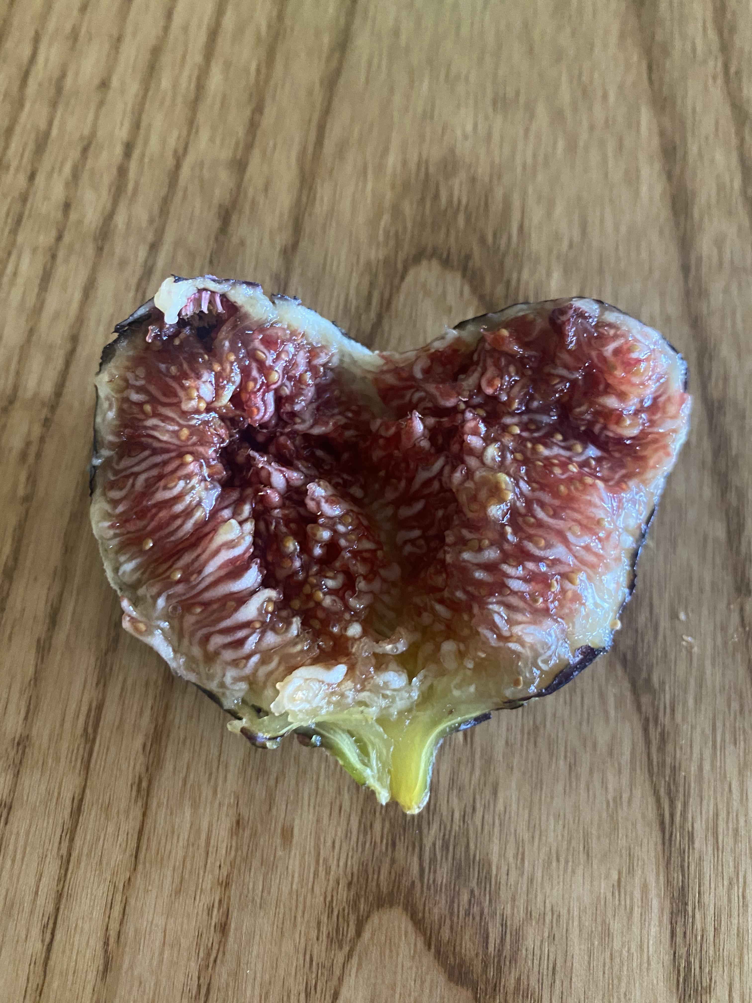 best tasting apples available in central Ohio fruit