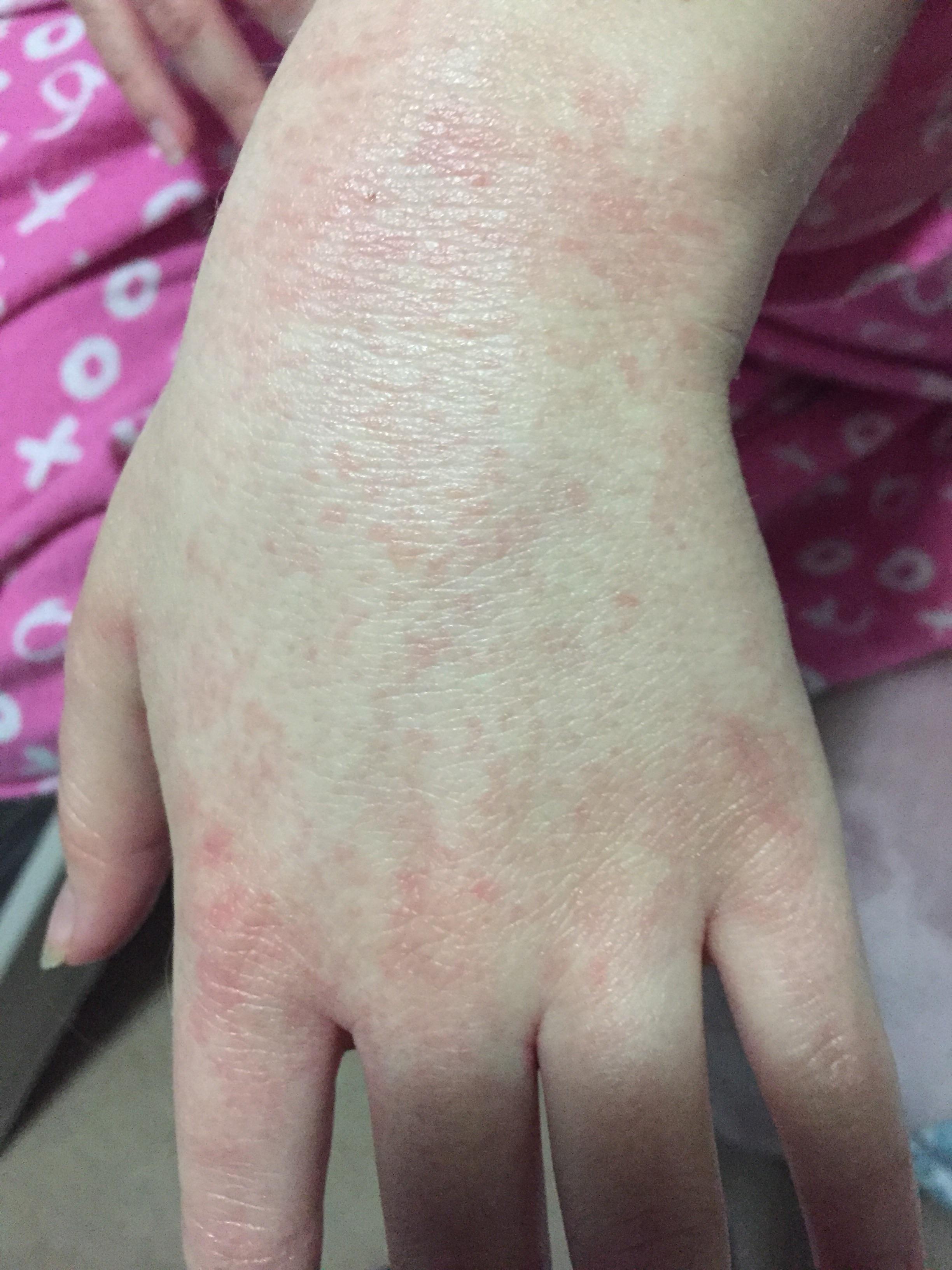 overview for quesadillathyme