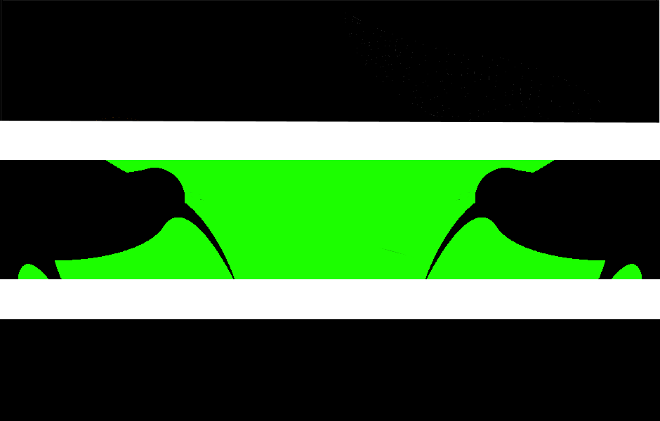 Flag of the Laser Kiwi Empire r/vexillology