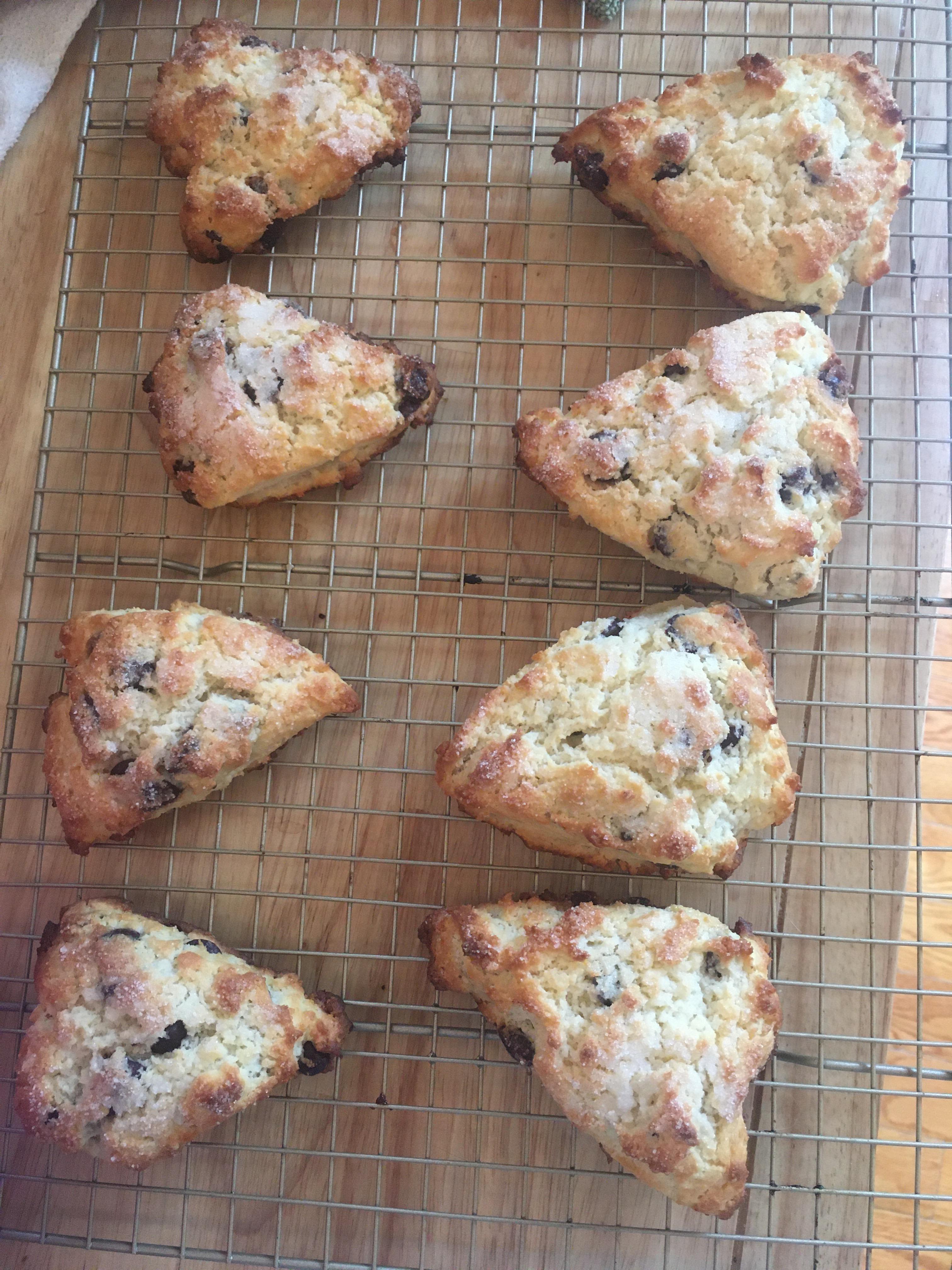 Dark chocolate chip scones recipe from America’s test kitchen vol 2