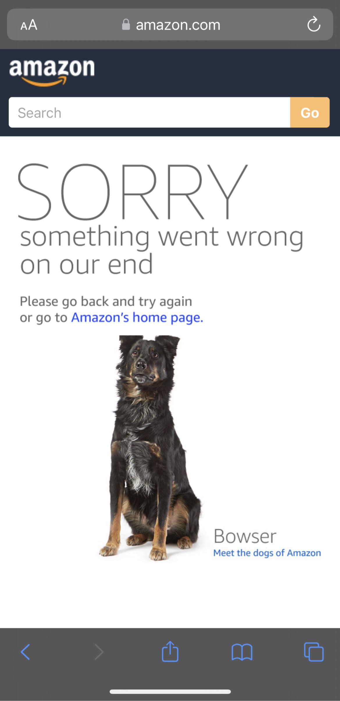 Iwtyo when I found that the error page of Amazon is pics of cute dogs
