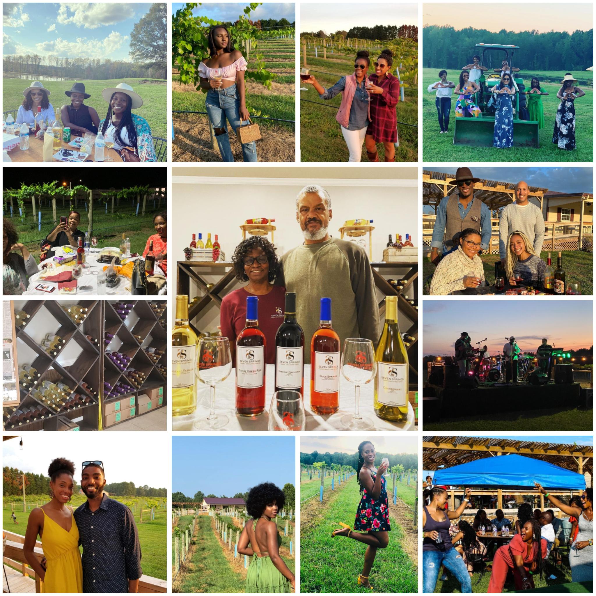 Black Owned Getaway Spots Seven Springs Farm & Vineyard North