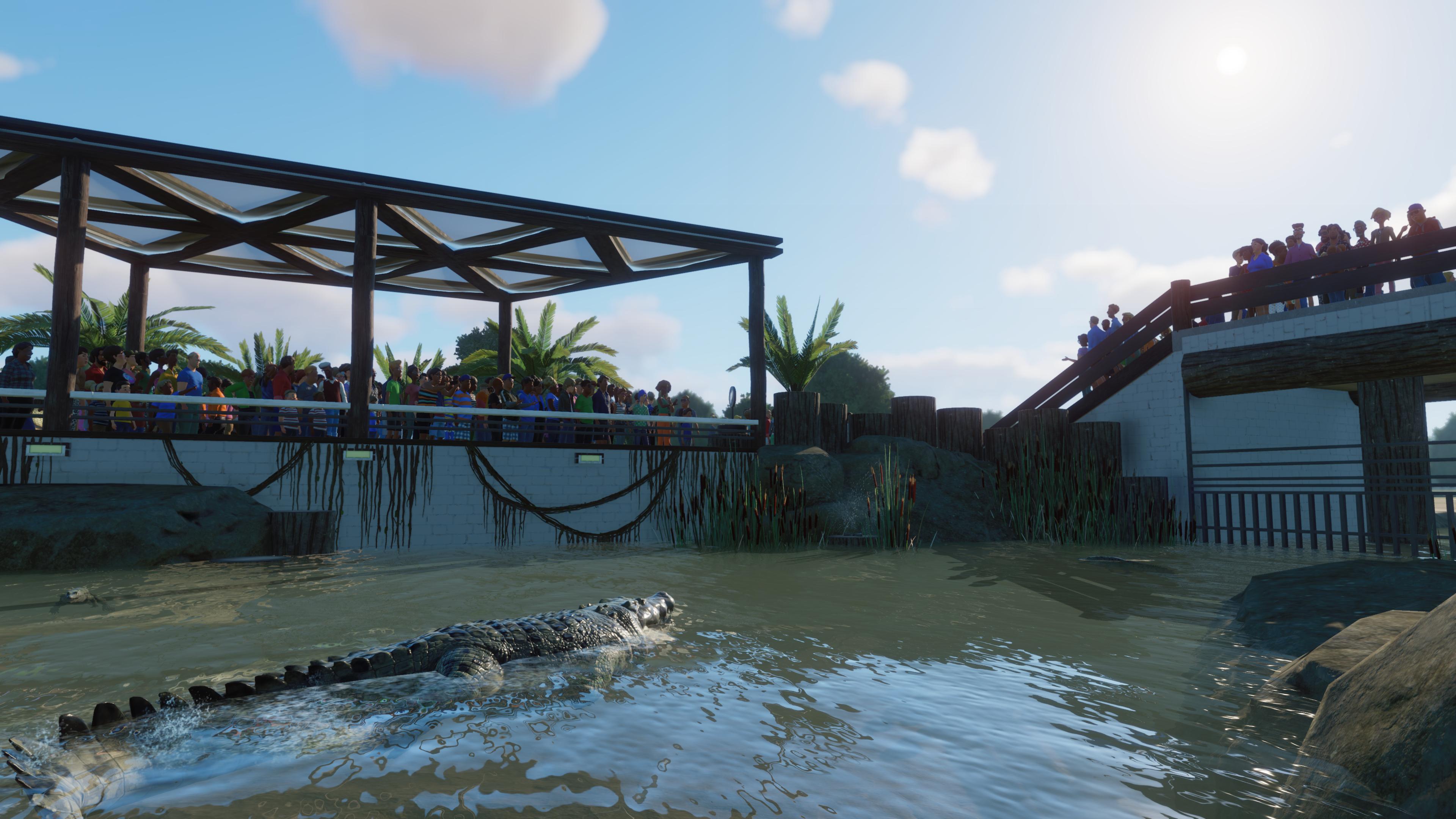 First look in my enclosure for the crocodiles