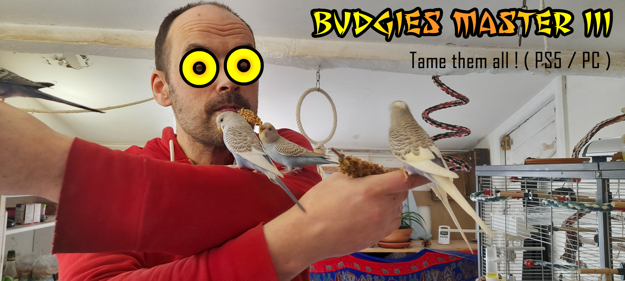 New video game ! ) ) r/budgies