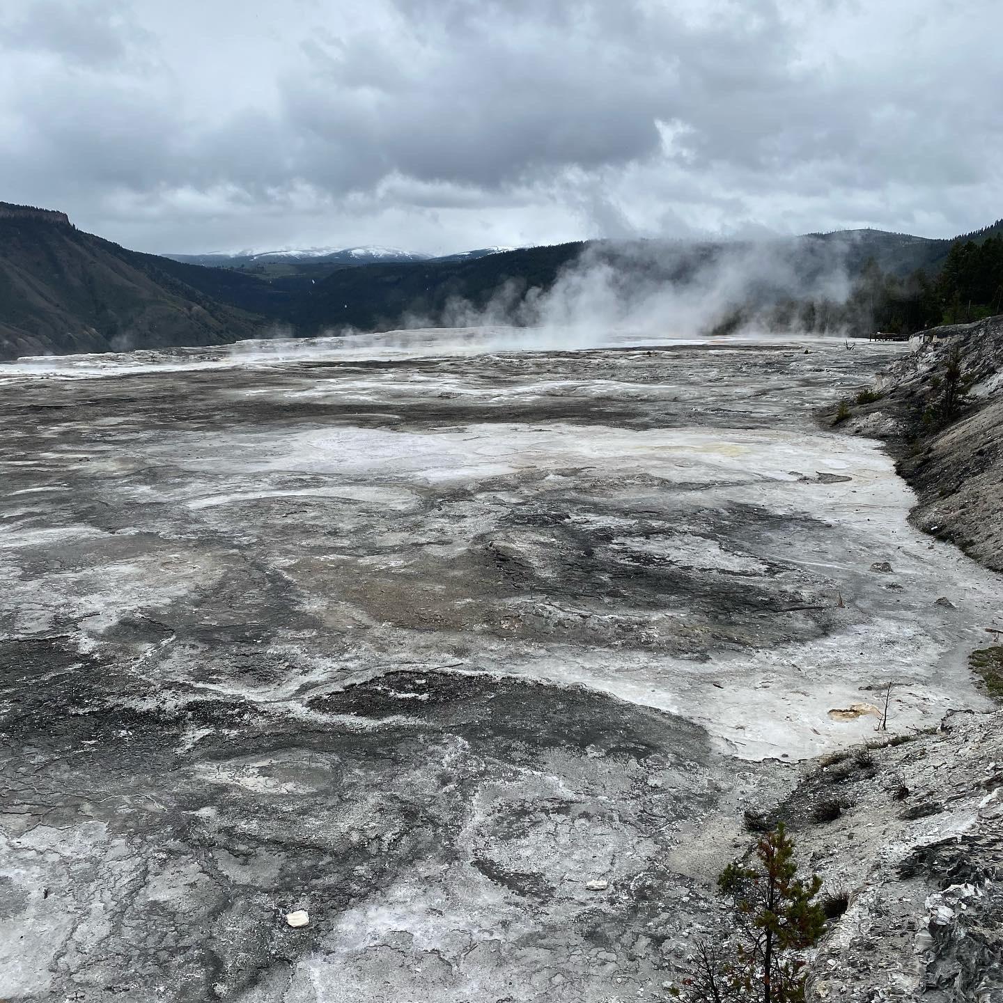 Mammoth Hot Springs at Yellowstone (05/29/2022) NationalPark