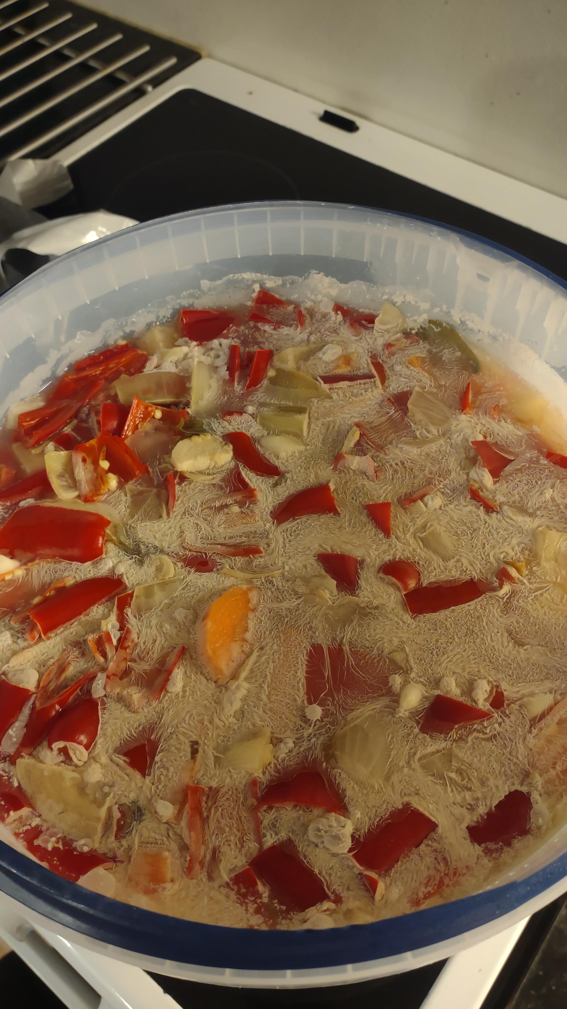 Not sure if mold or just lactic bacteria? Fermented chili sauce. r