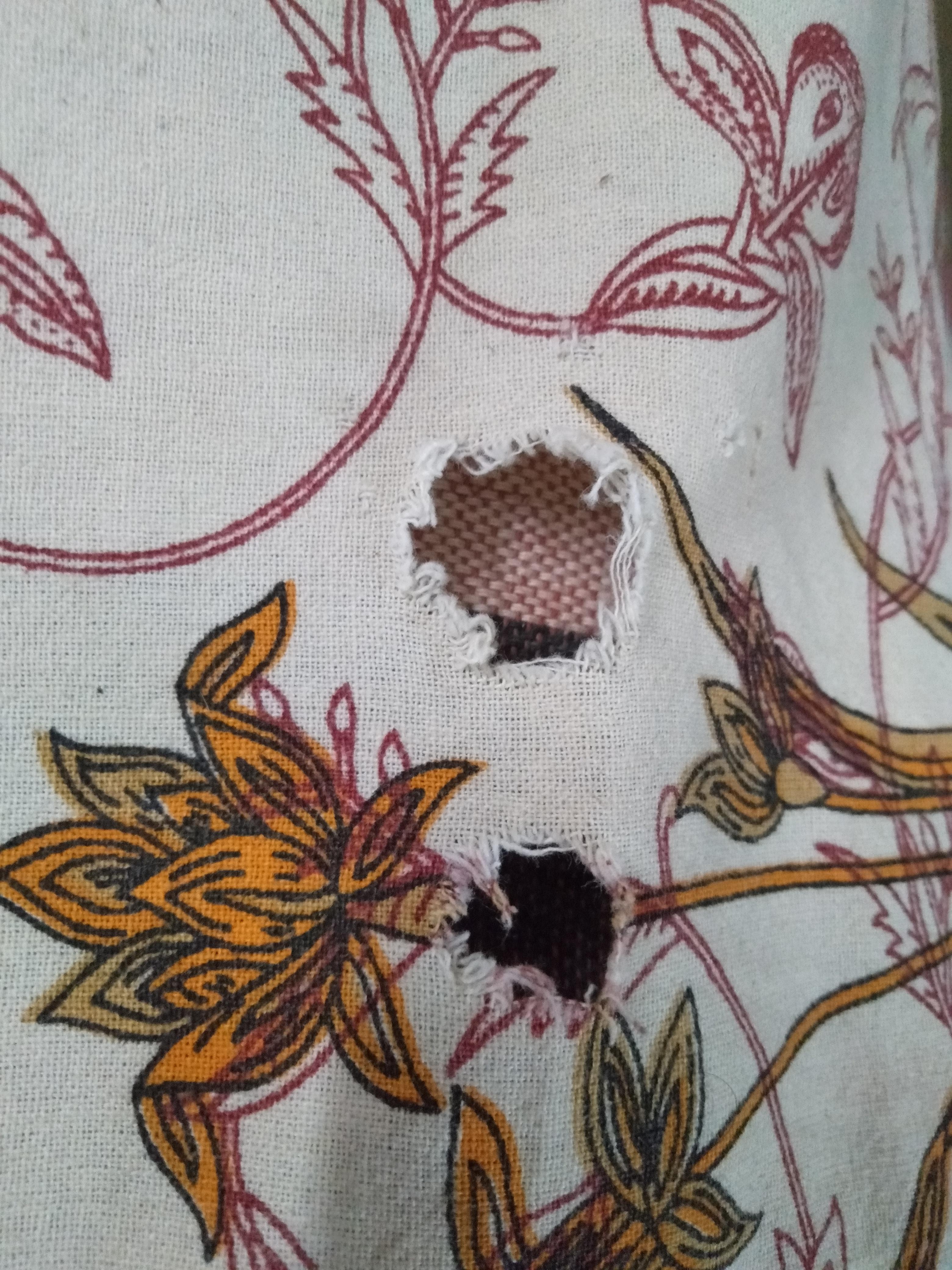 How to train and stop my bunnies from chewing on my bedsheets and other clothes? r/Rabbits