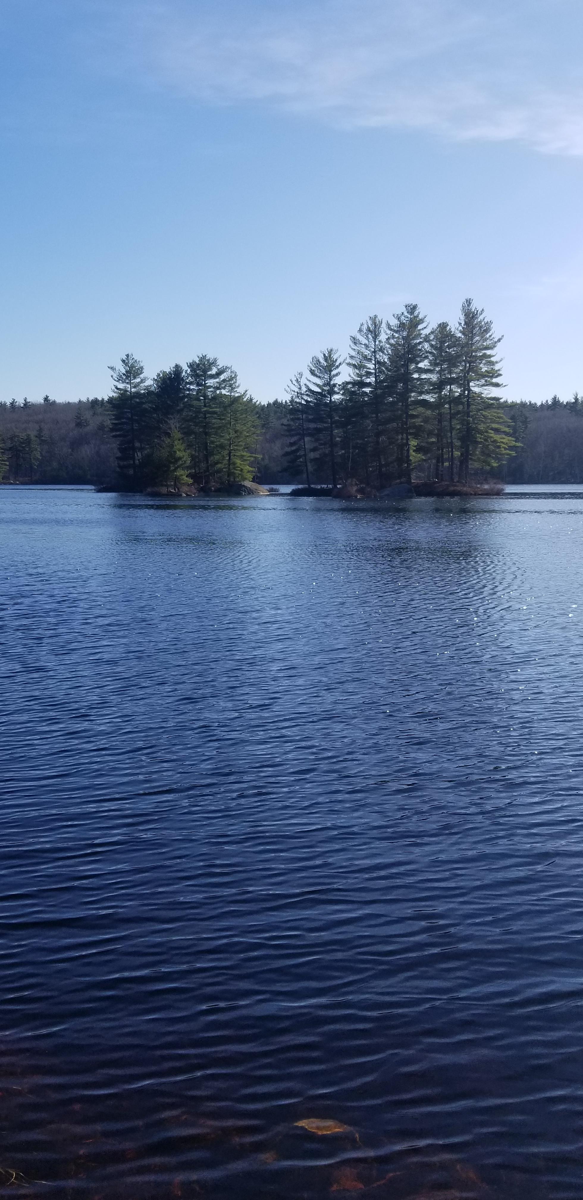 Tower hill pond r/ImagesOfNewHampshire