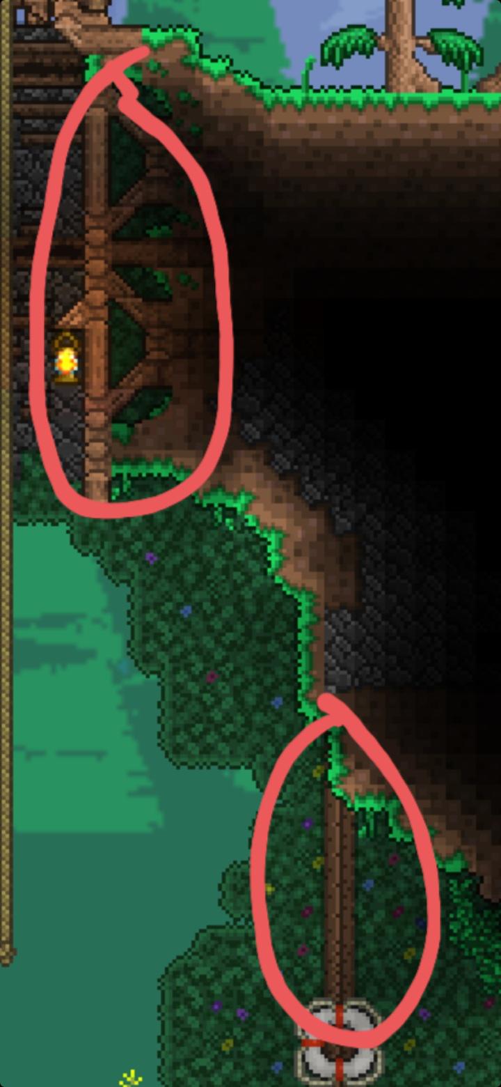 Which type of wood is this? r/Terraria