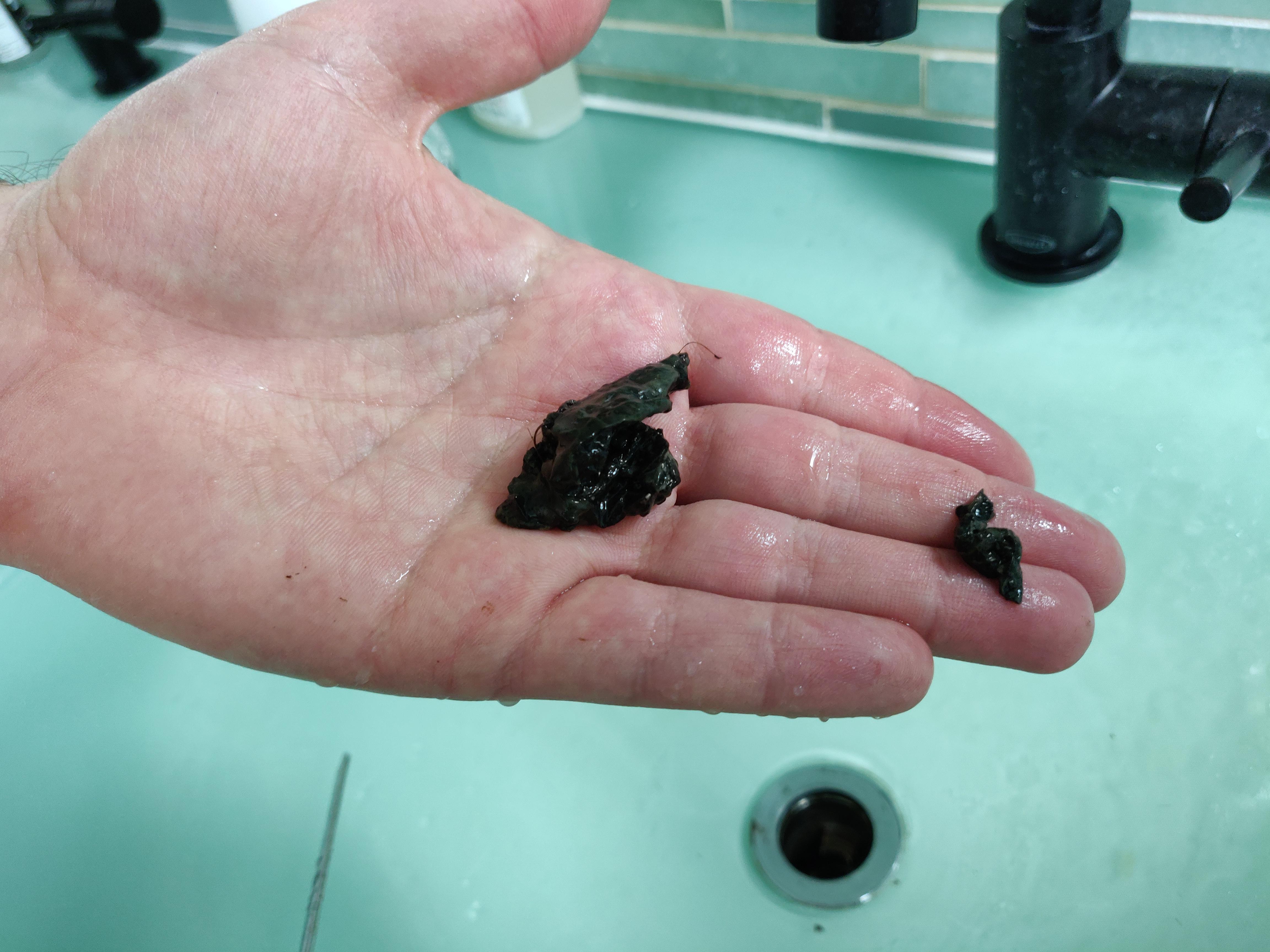 What kind of mold/fungus is this? (Black, slimy, found in the bathroom