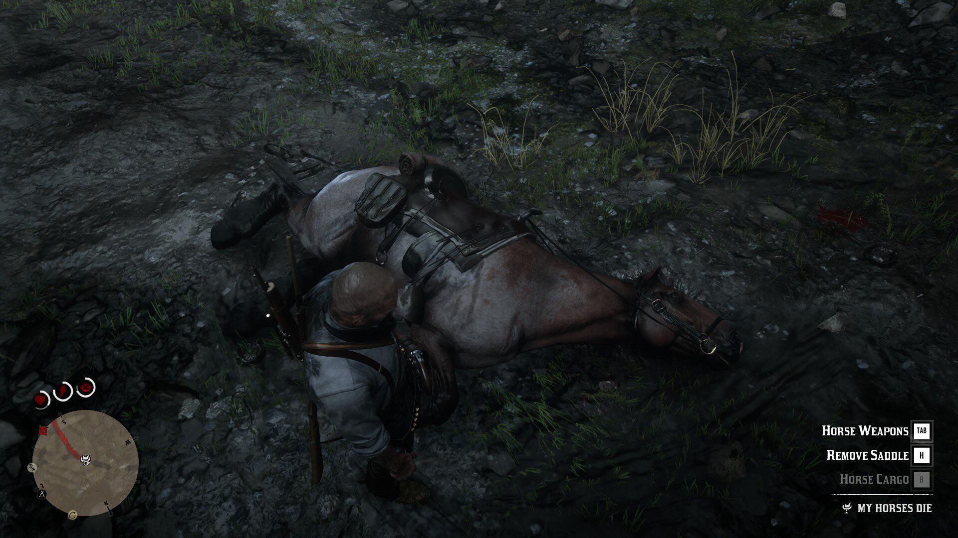 why did my horse die, is he stupid? r/okbuddyblacklung