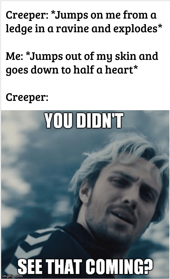 Ravines are dangerous places folks. r/MinecraftMemes