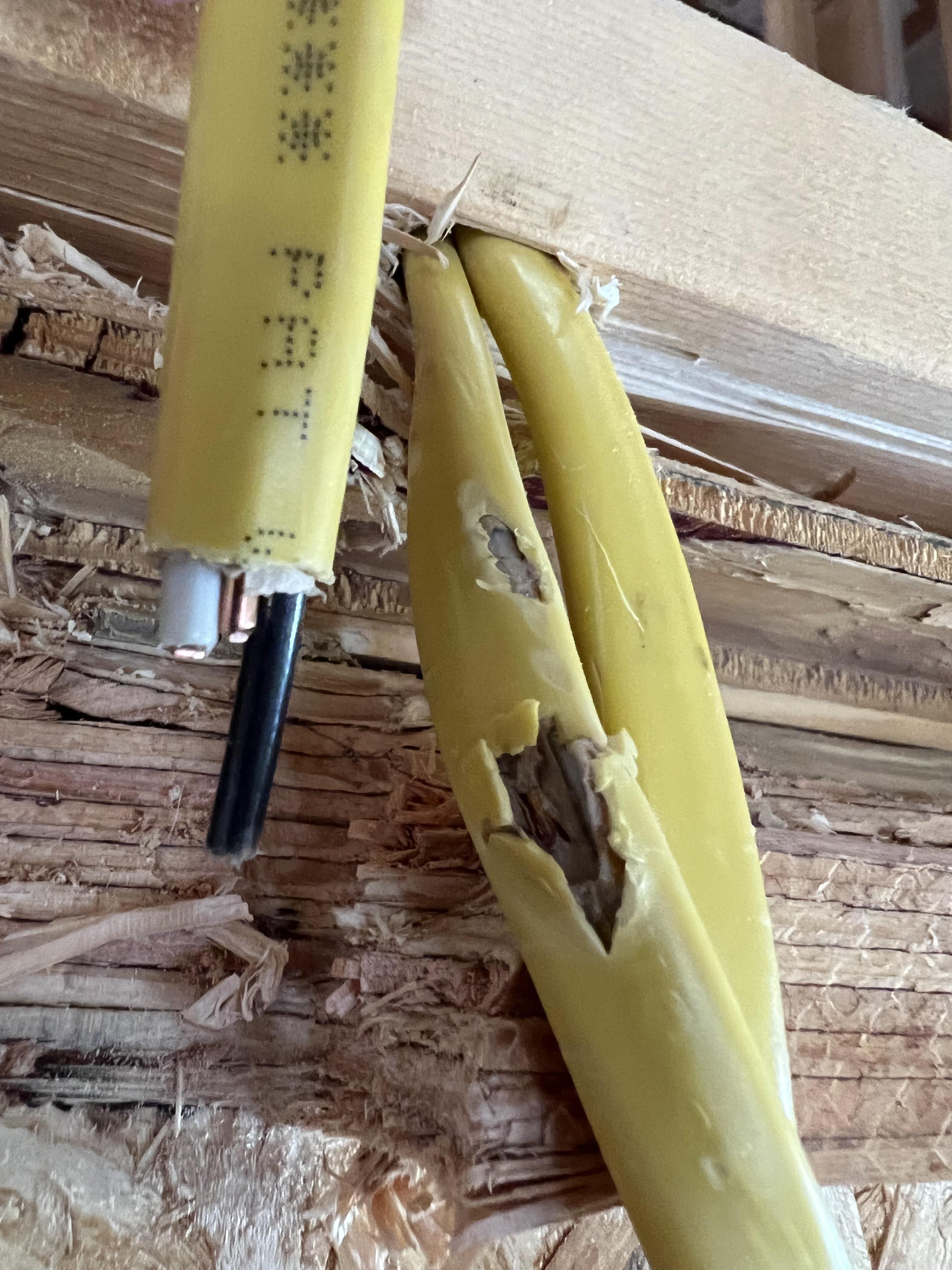 I nicked this romex wire will drilling a hole, I opened up the yellow