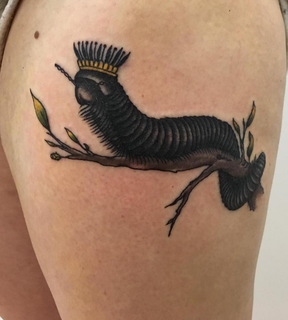 Giant African Millipede by Zuka Gola at Wild Hand Tattoo