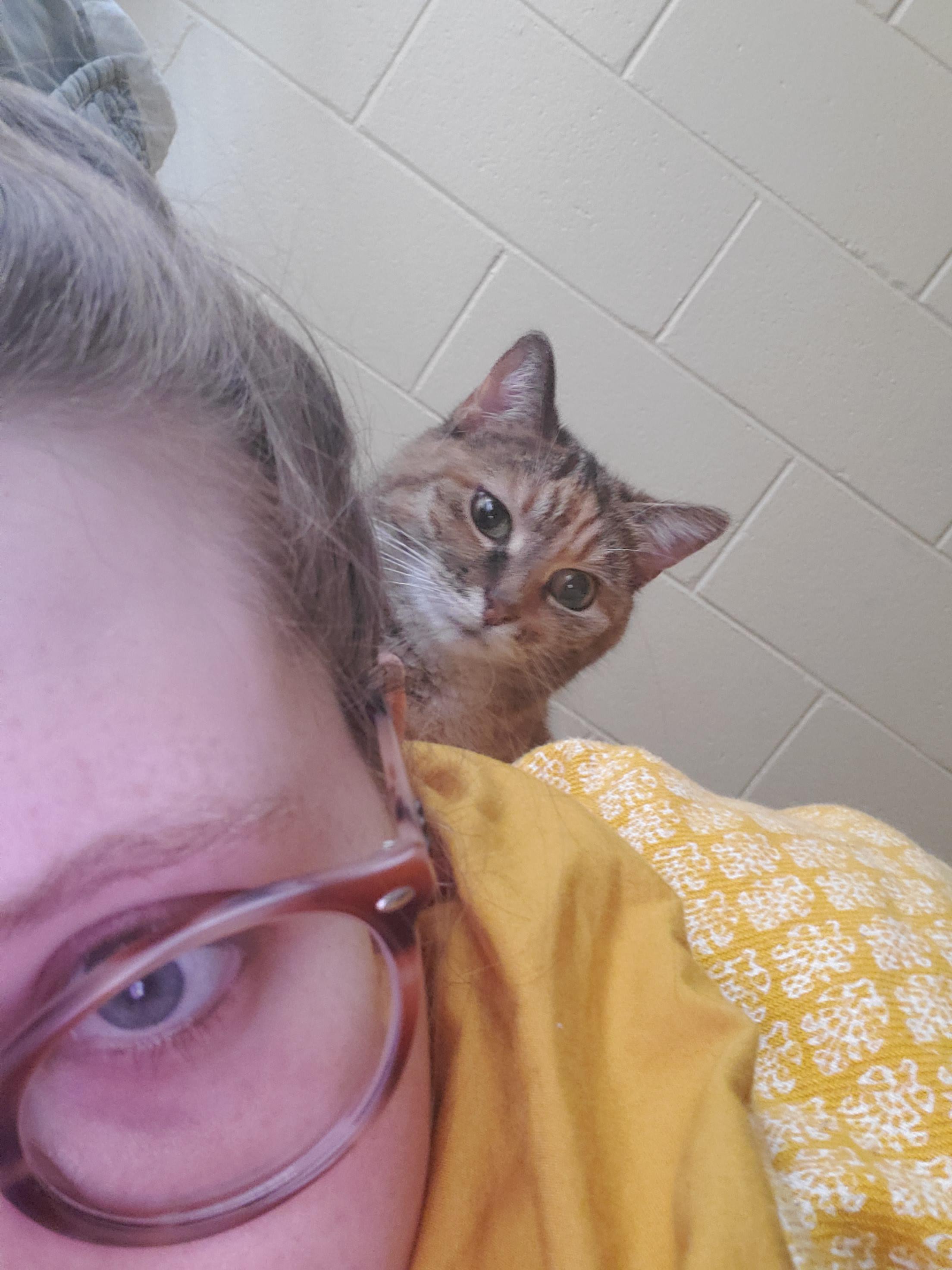 Eleanor is now chewing my hair in response to me cutting back 1/3 of