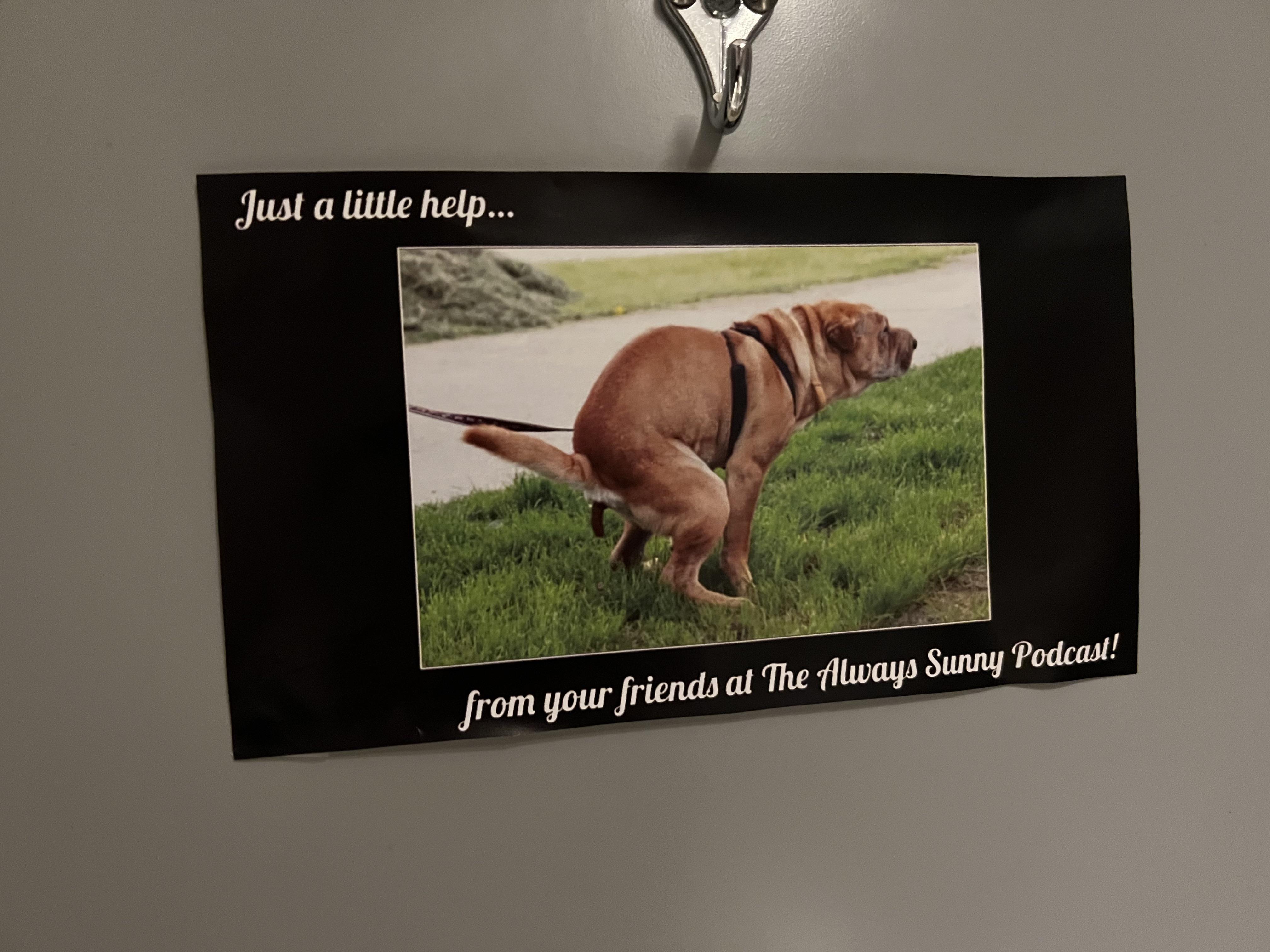 They had all these different pics of dogs in the bathroom stalls at the