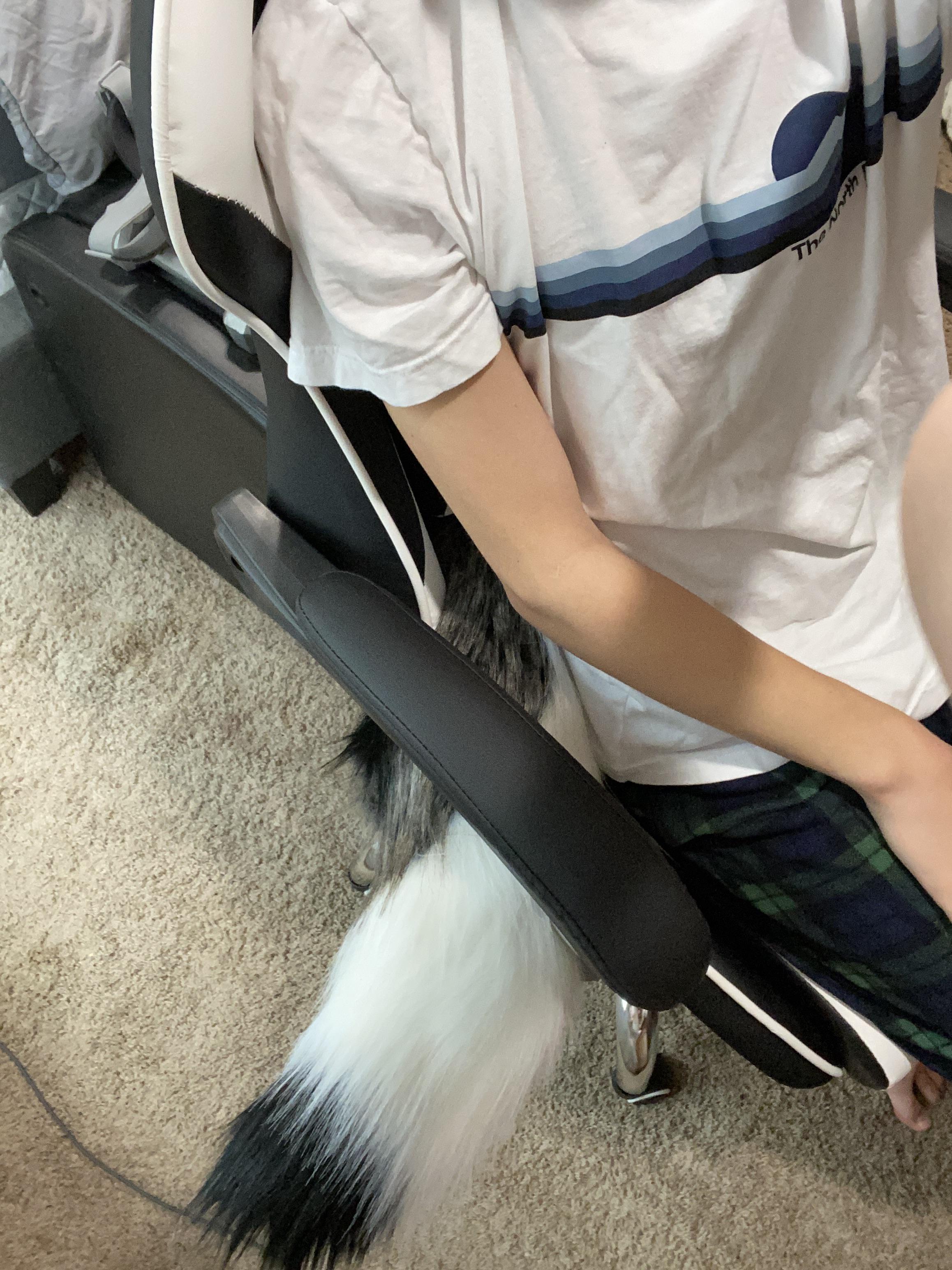 Got a gaming chair and now I can wear the tail in it r/furry
