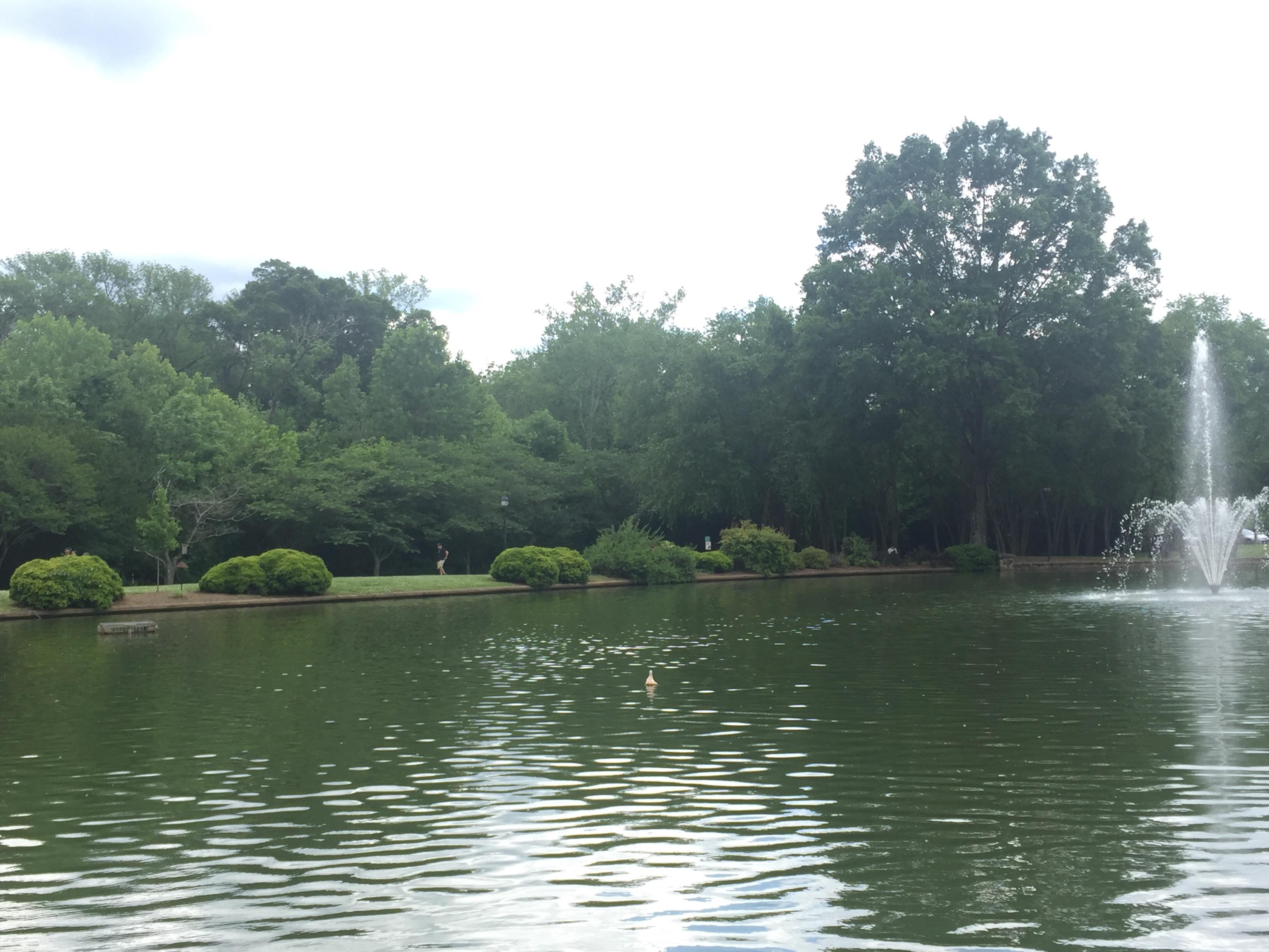 Freedom park, it’s so nice out today r/Charlotte